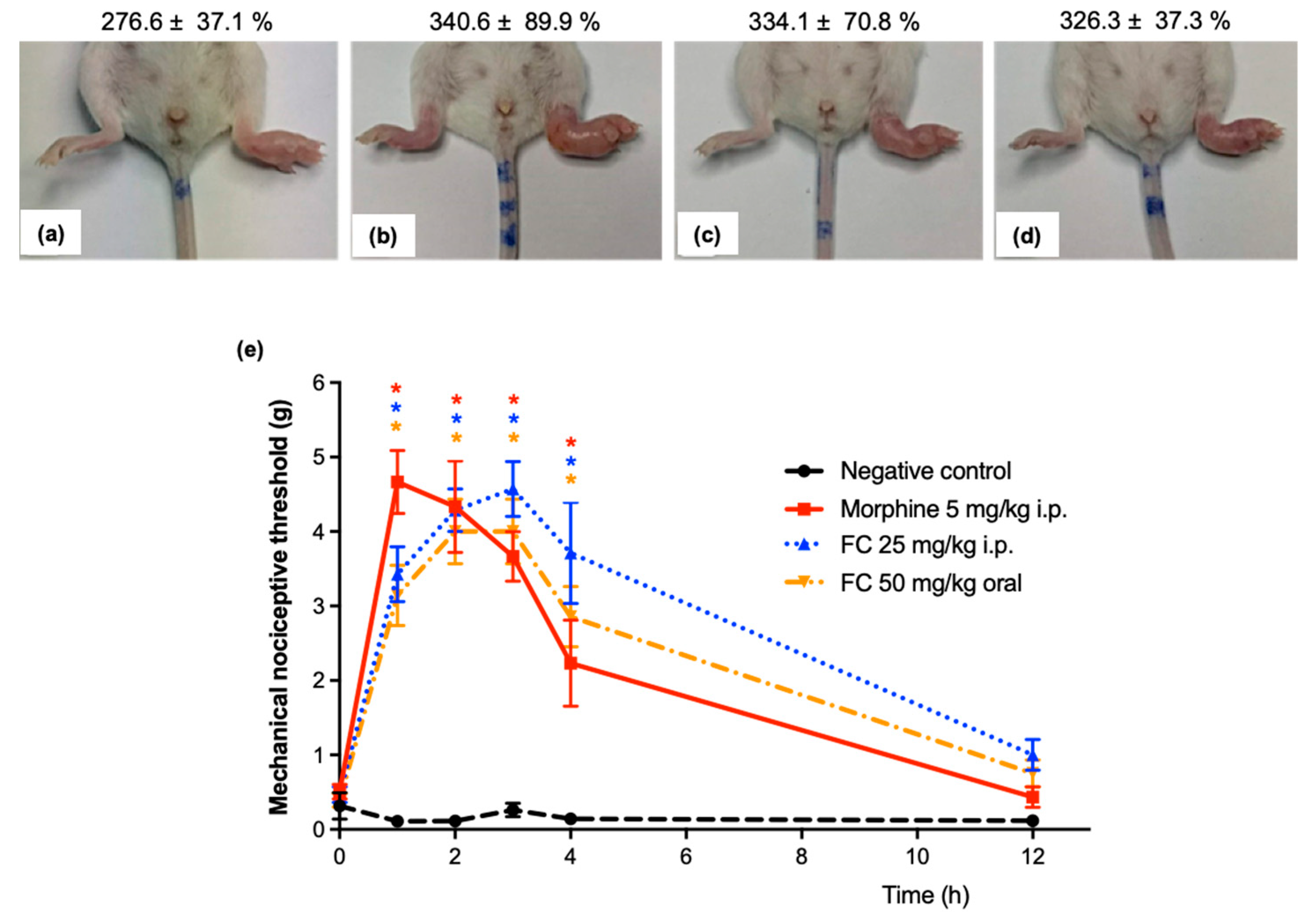 Pharmaceuticals 17 00633 g006 Pharmaceuticals 17 00633 g006