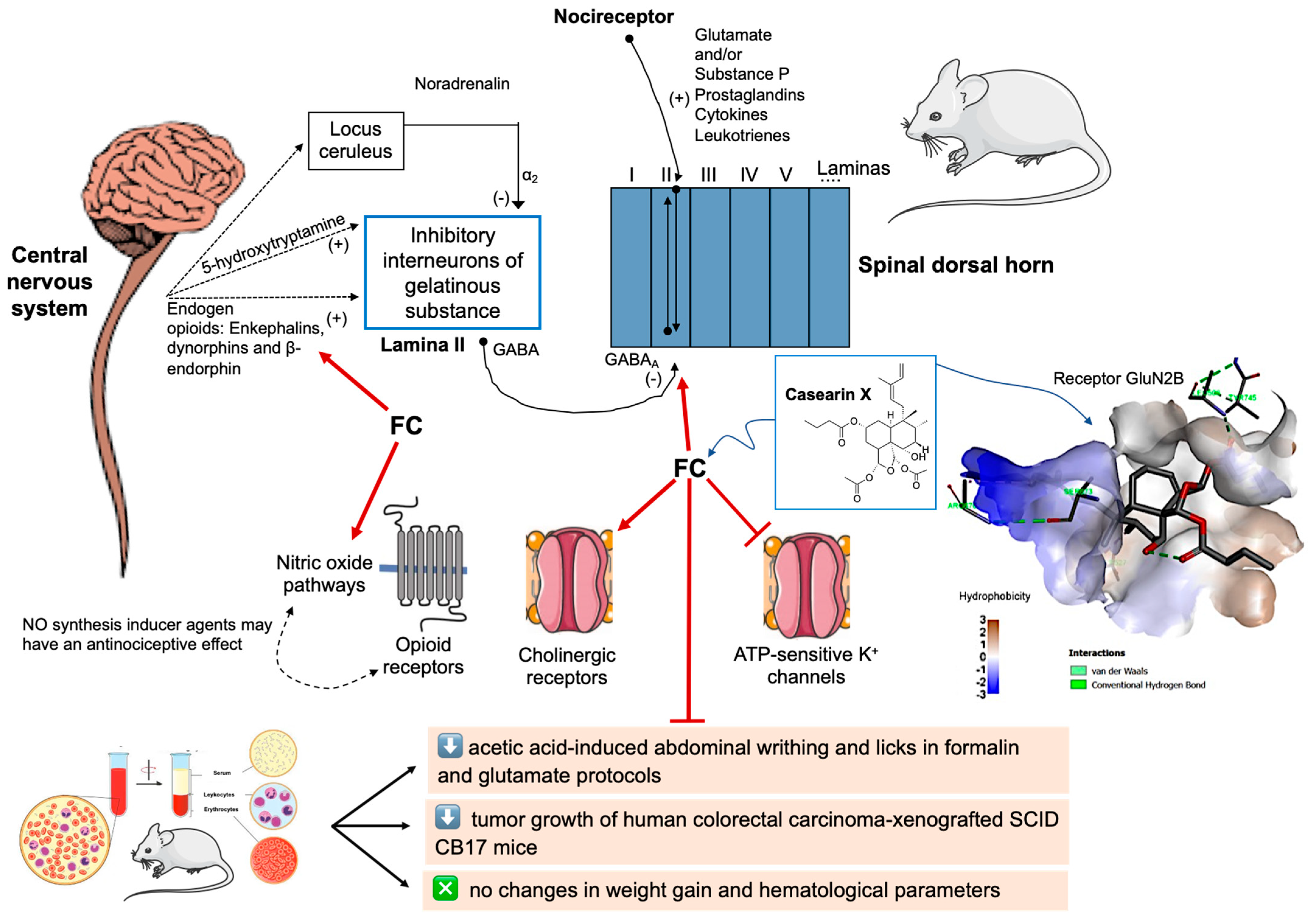 Pharmaceuticals 17 00633 g009 Pharmaceuticals 17 00633 g009