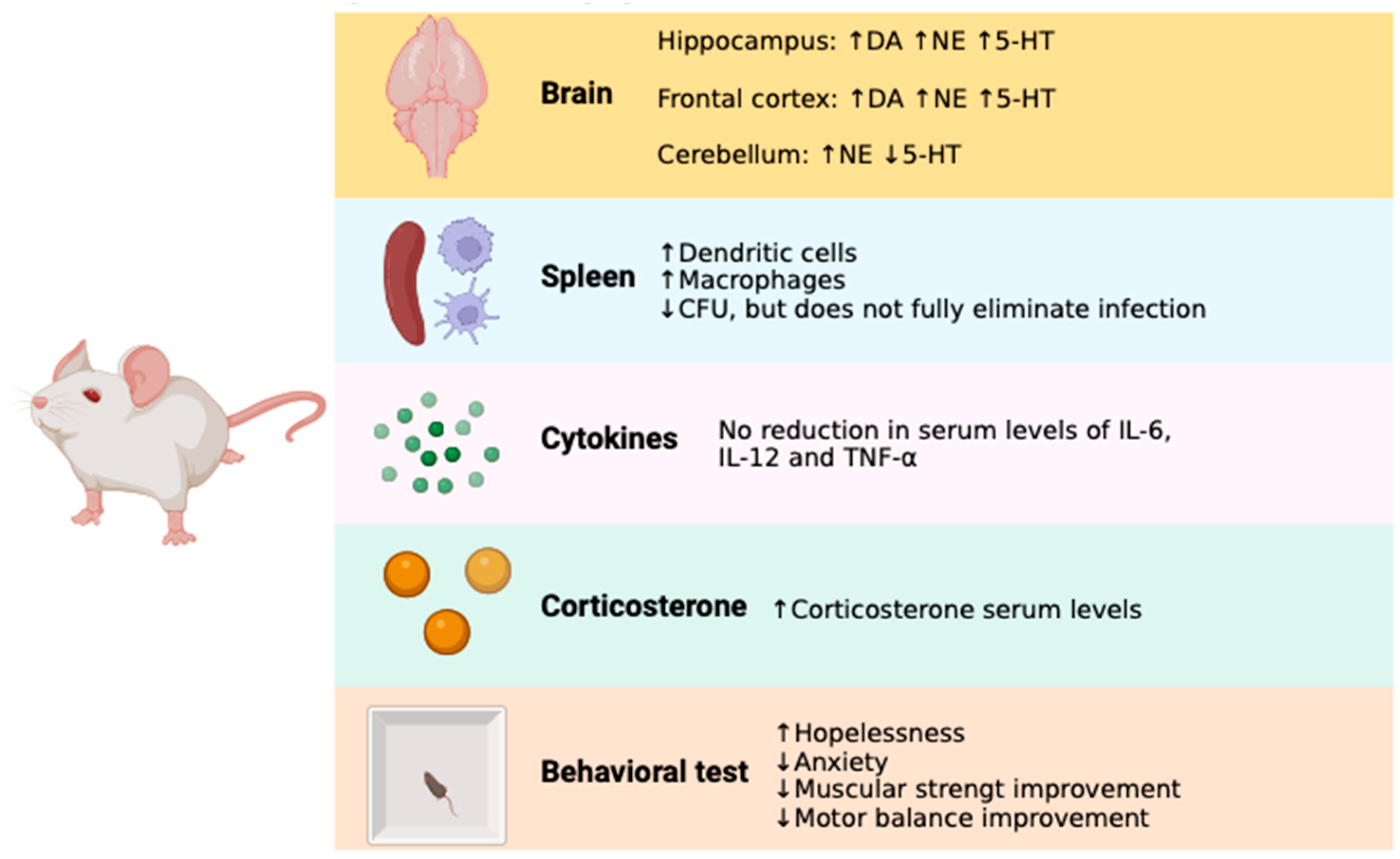 Pharmaceuticals 17 00638 g008 Pharmaceuticals 17 00638 g008