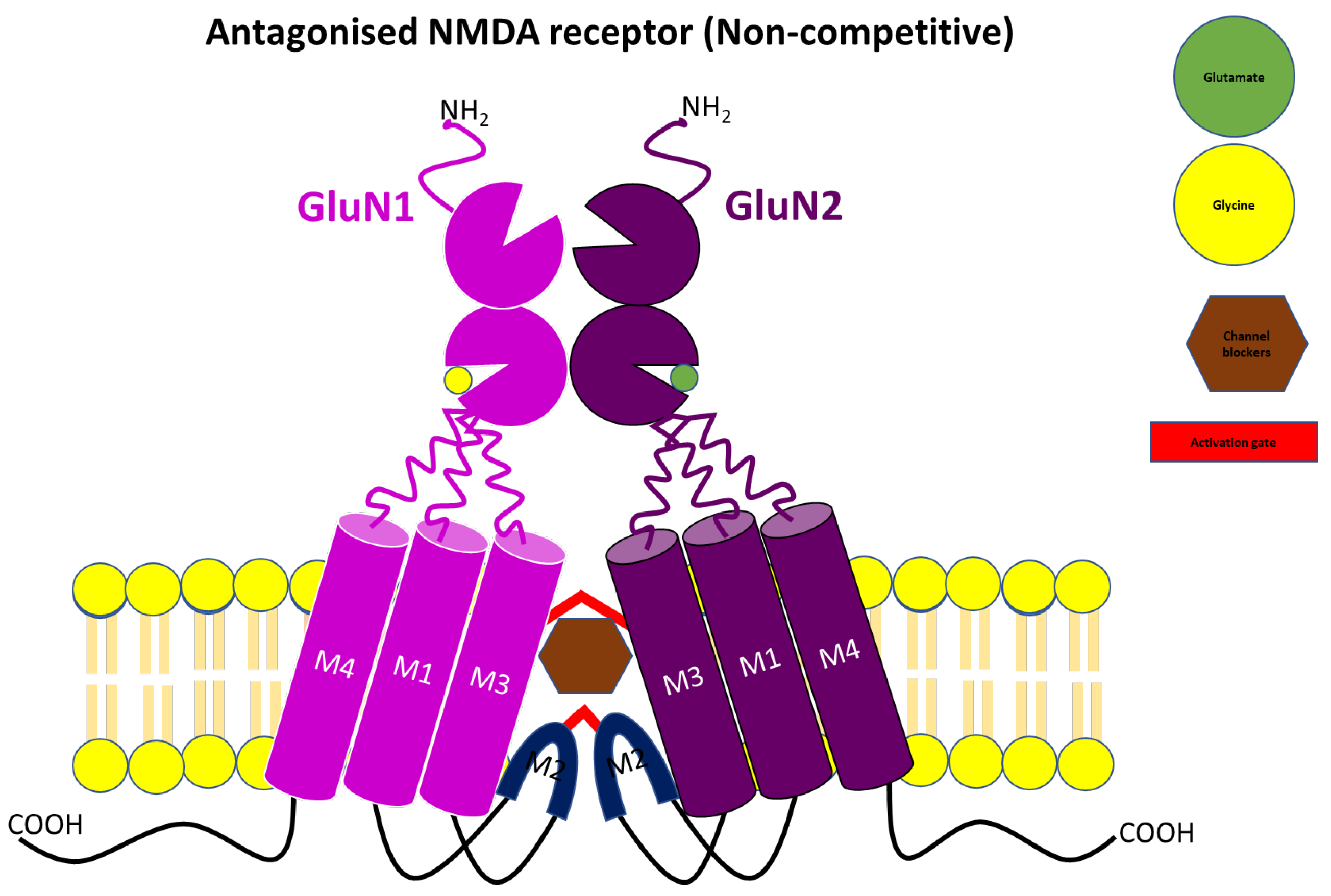 Pharmaceuticals 17 00639 g006