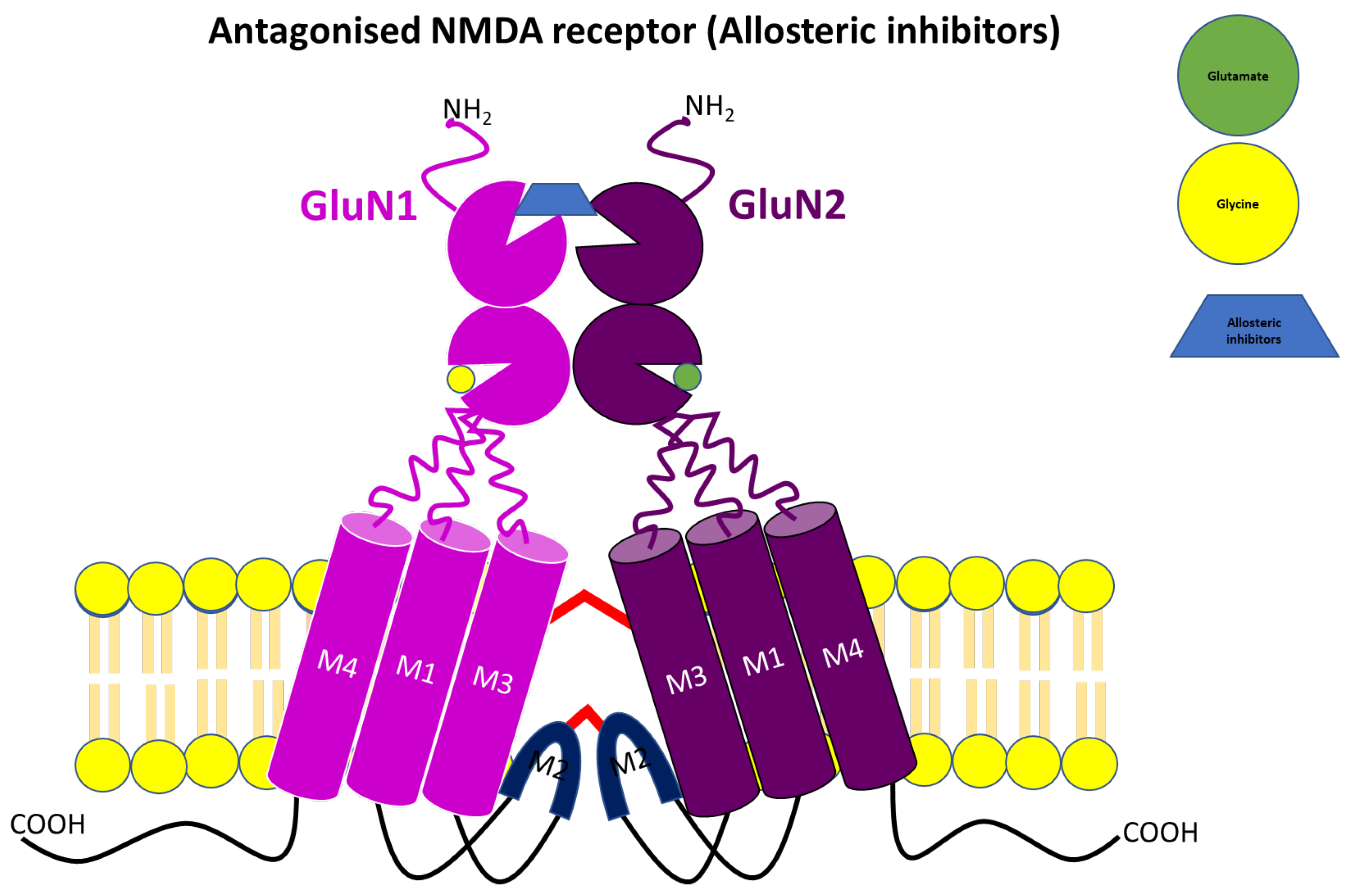 Pharmaceuticals 17 00639 g008