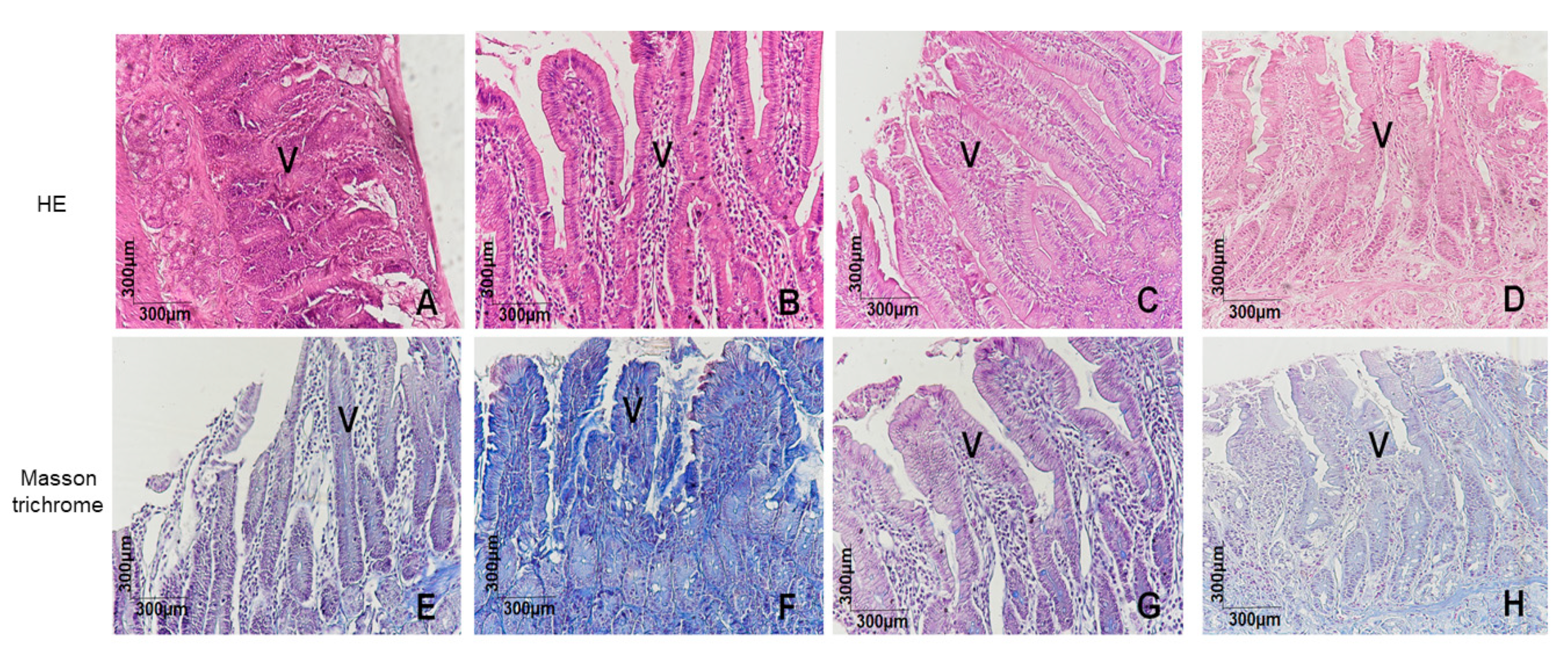 Pharmaceuticals 17 00641 g003a