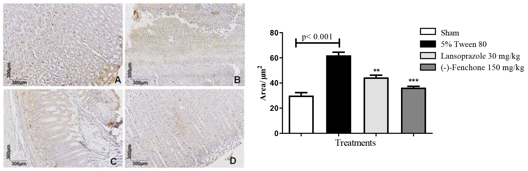Pharmaceuticals 17 00641 g008