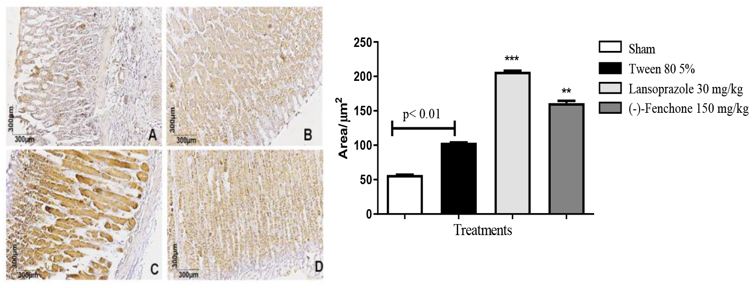 Pharmaceuticals 17 00641 g009