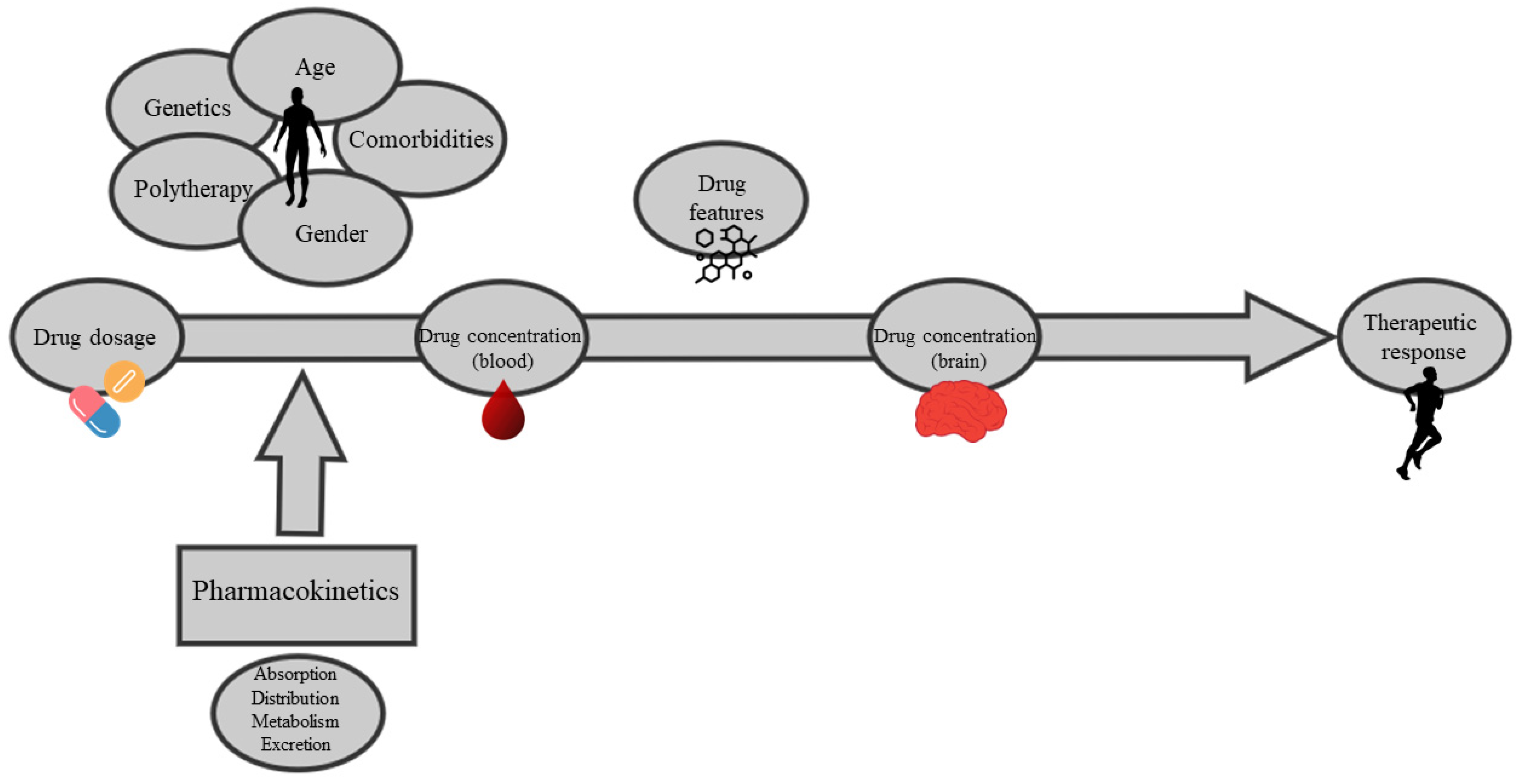 Pharmaceuticals 17 00642 g002
