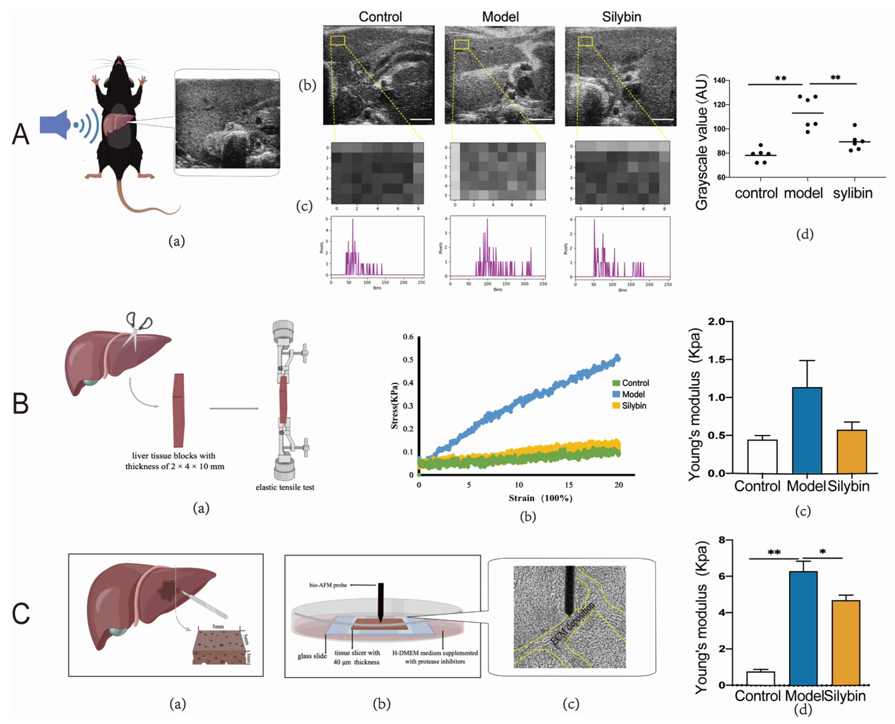 Pharmaceuticals 17 00644 g004