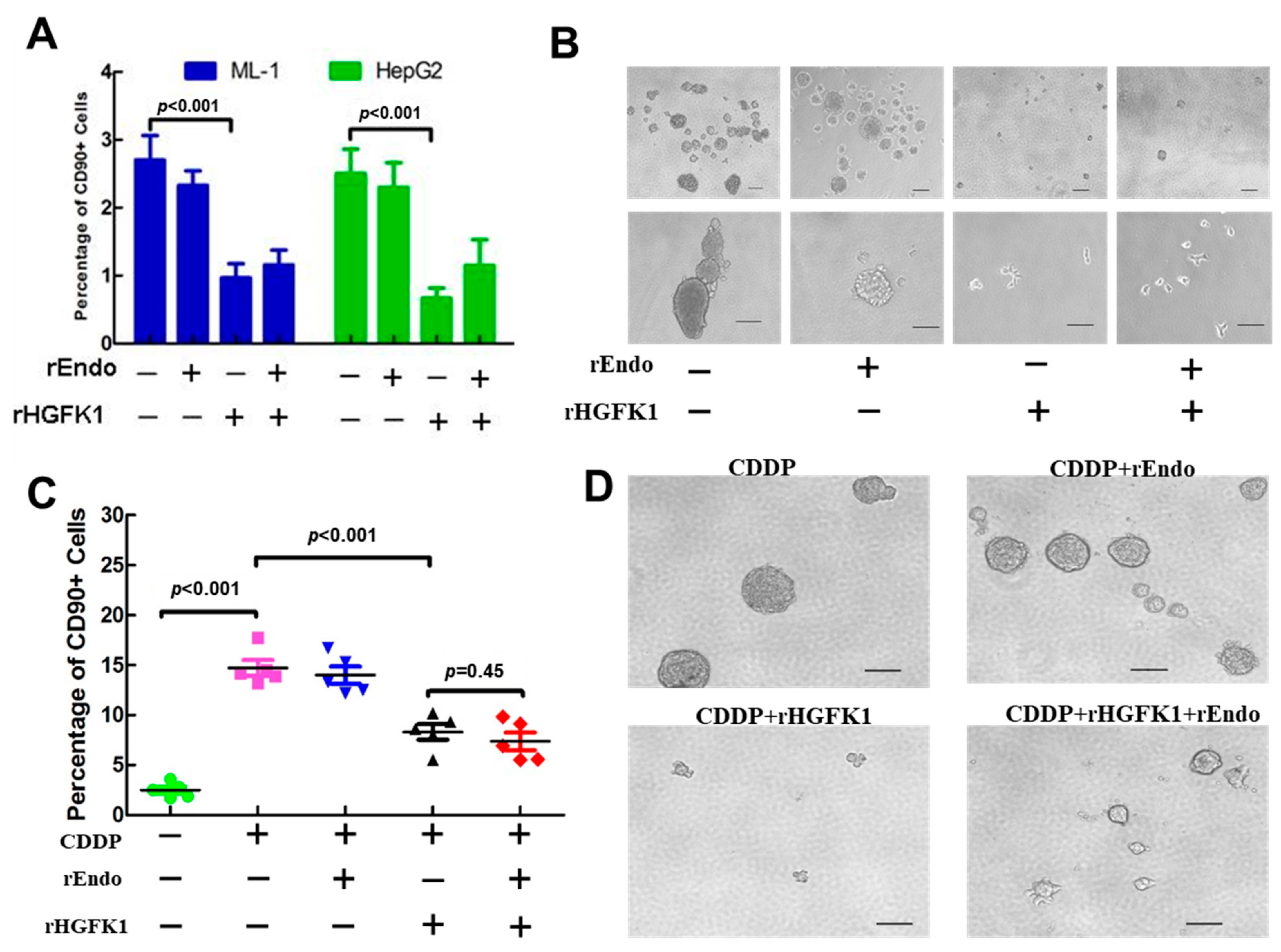 Pharmaceuticals 17 00645 g002