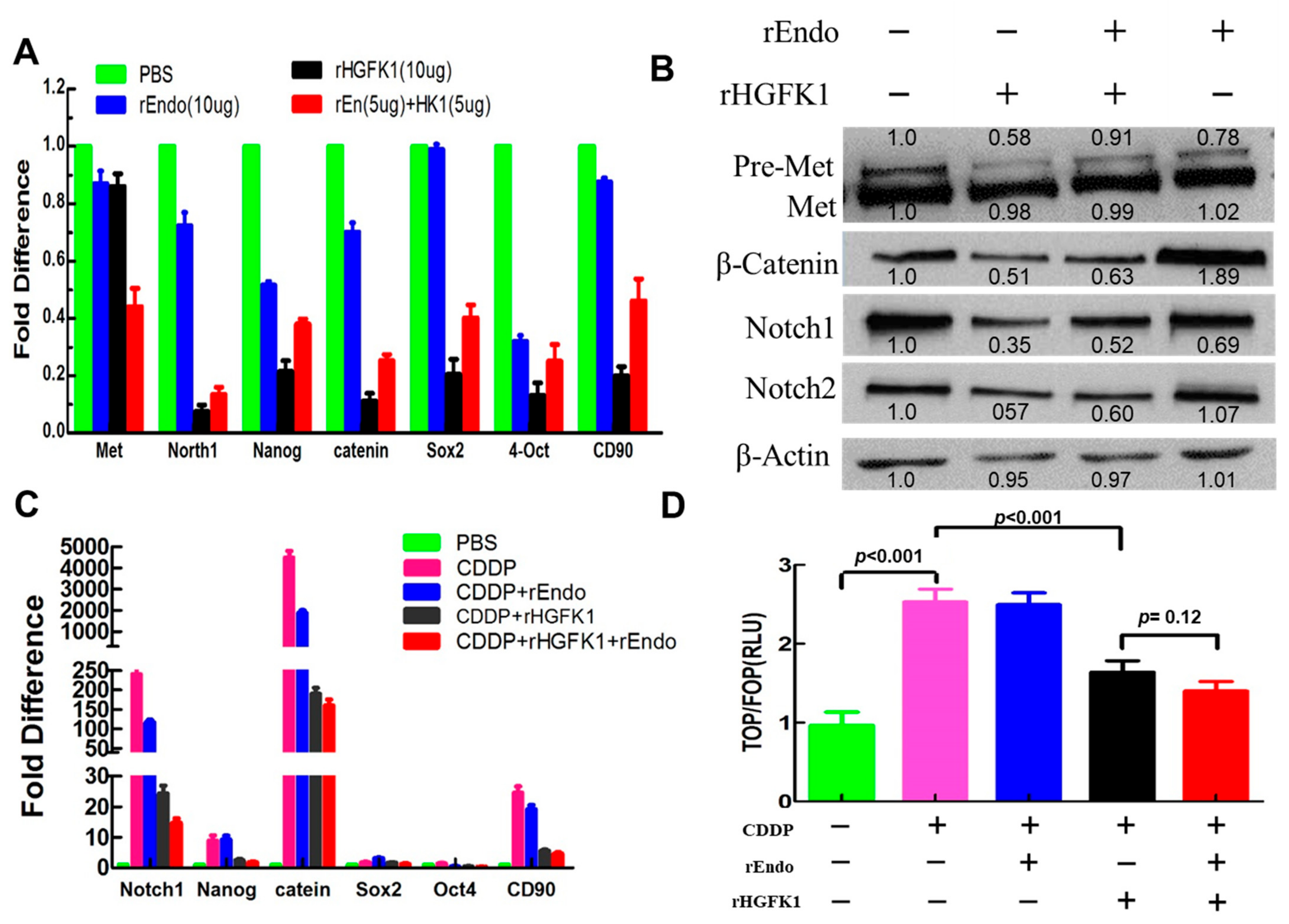 Pharmaceuticals 17 00645 g003
