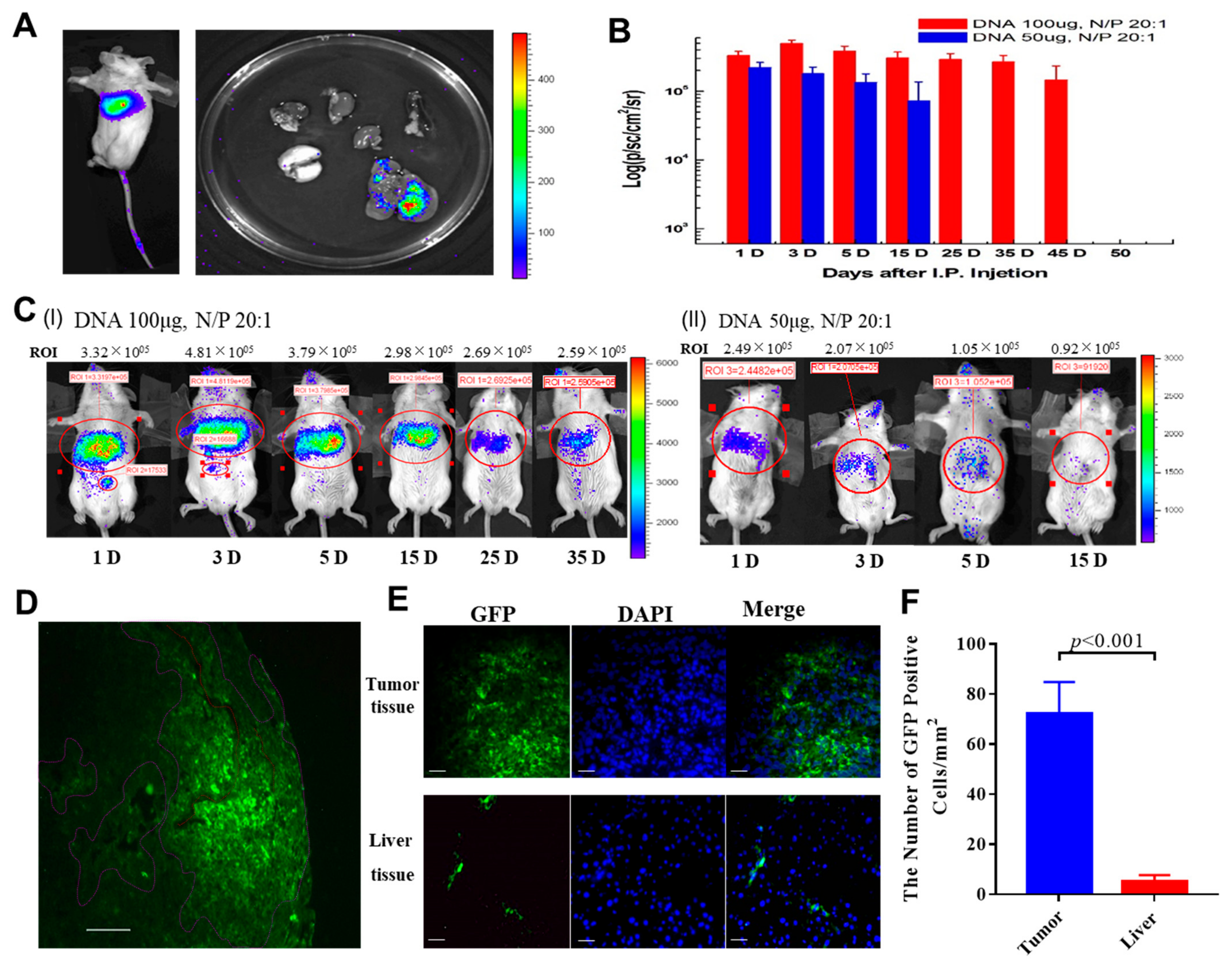 Pharmaceuticals 17 00645 g004