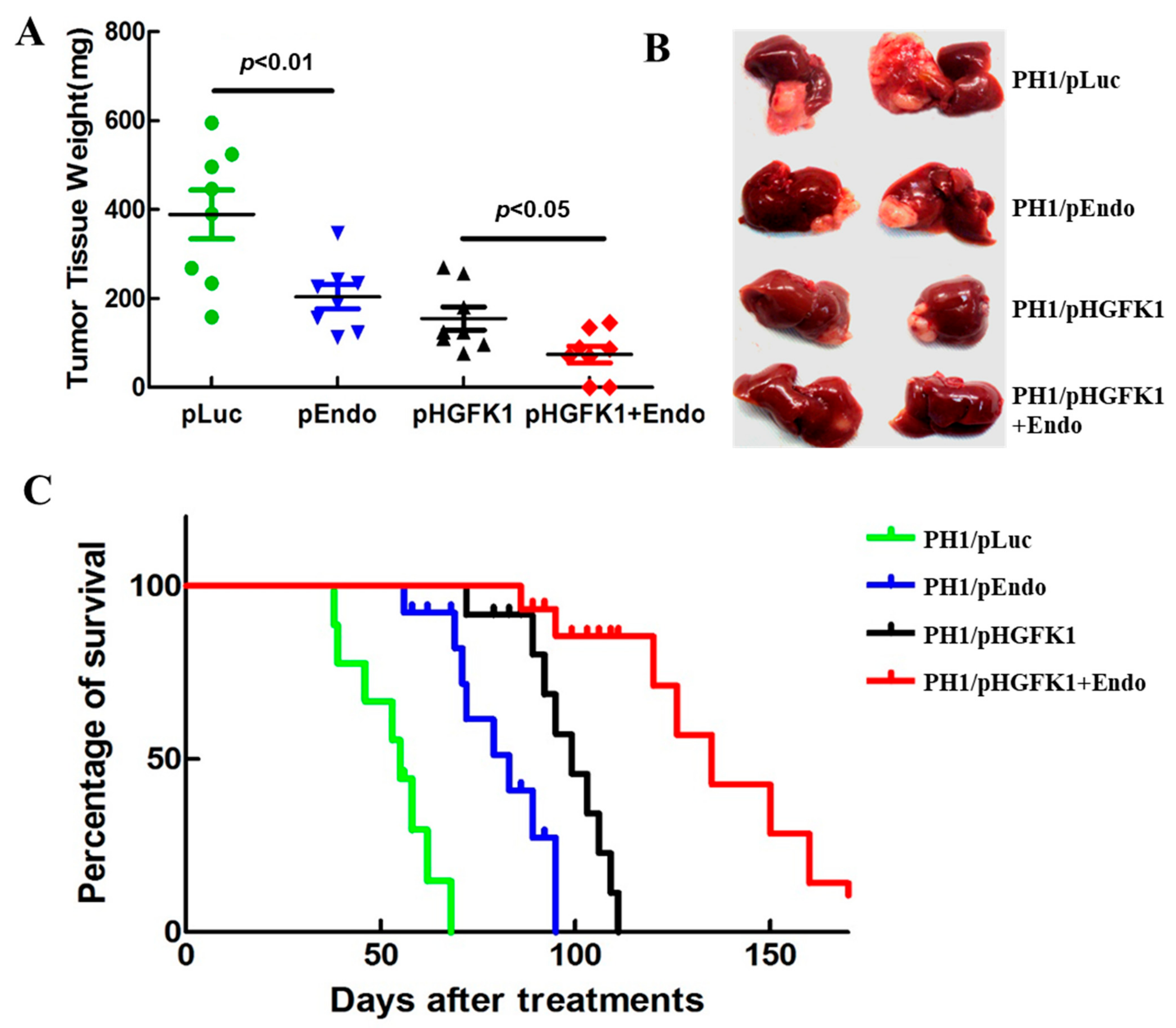 Pharmaceuticals 17 00645 g005