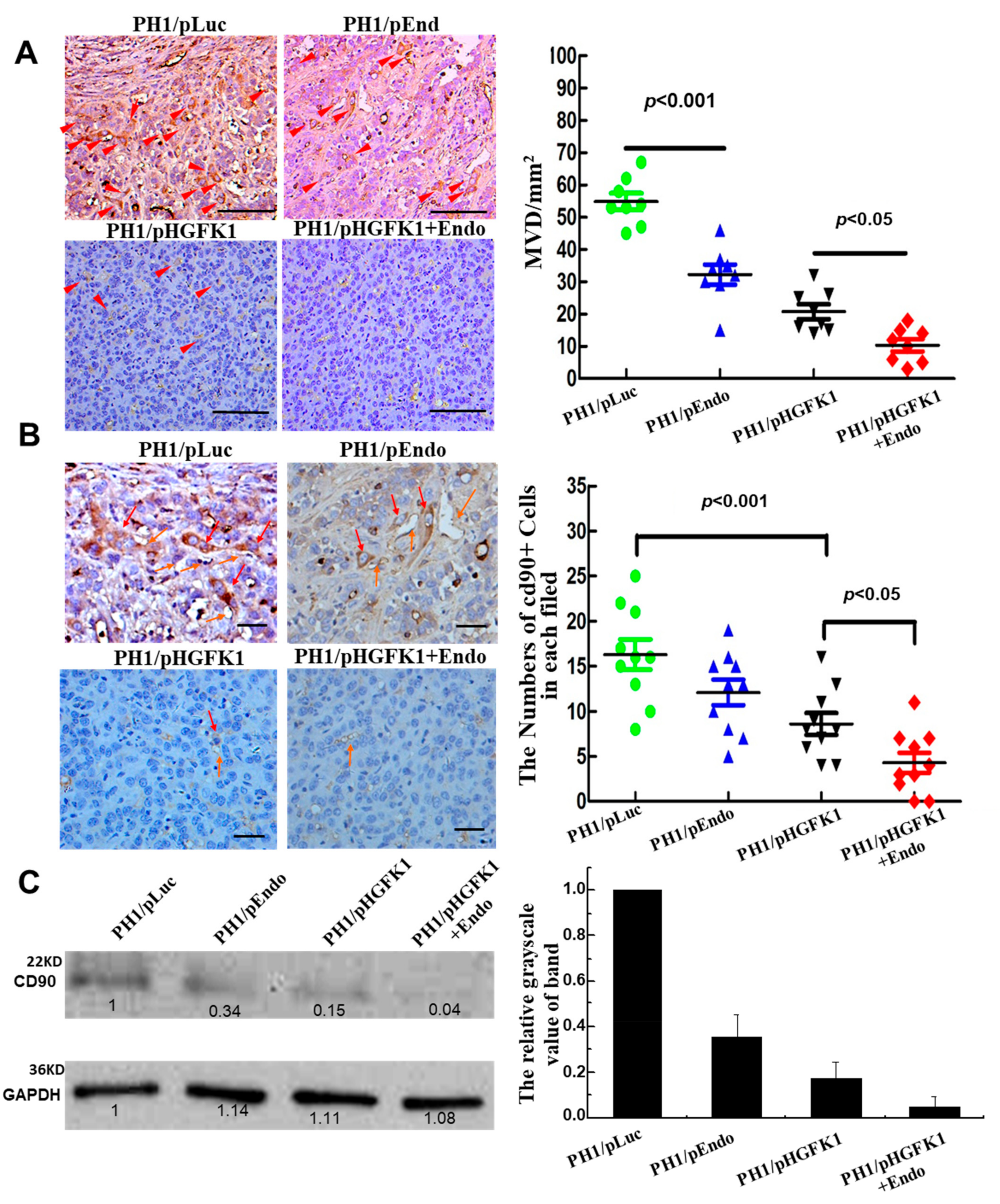 Pharmaceuticals 17 00645 g006