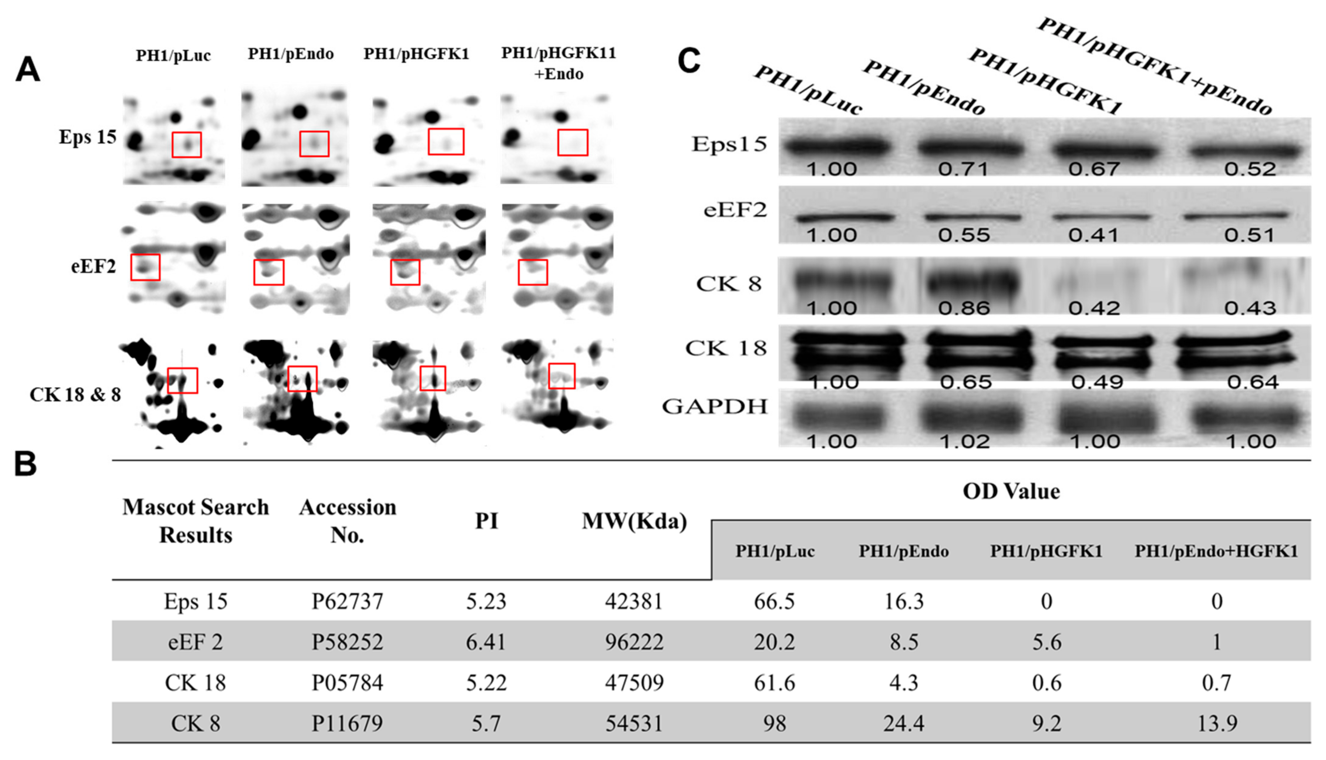 Pharmaceuticals 17 00645 g007