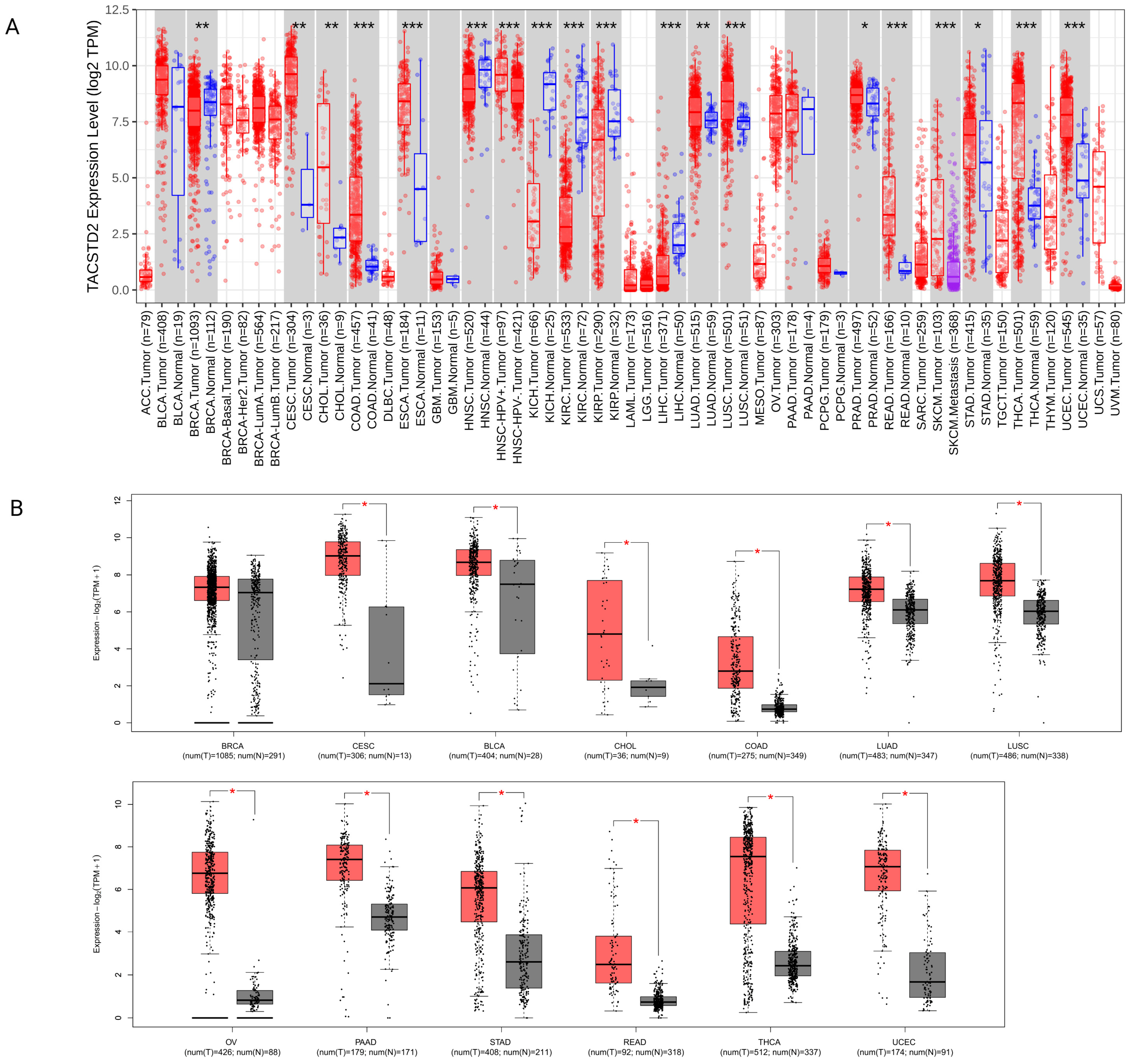 Pharmaceuticals 17 00652 g001