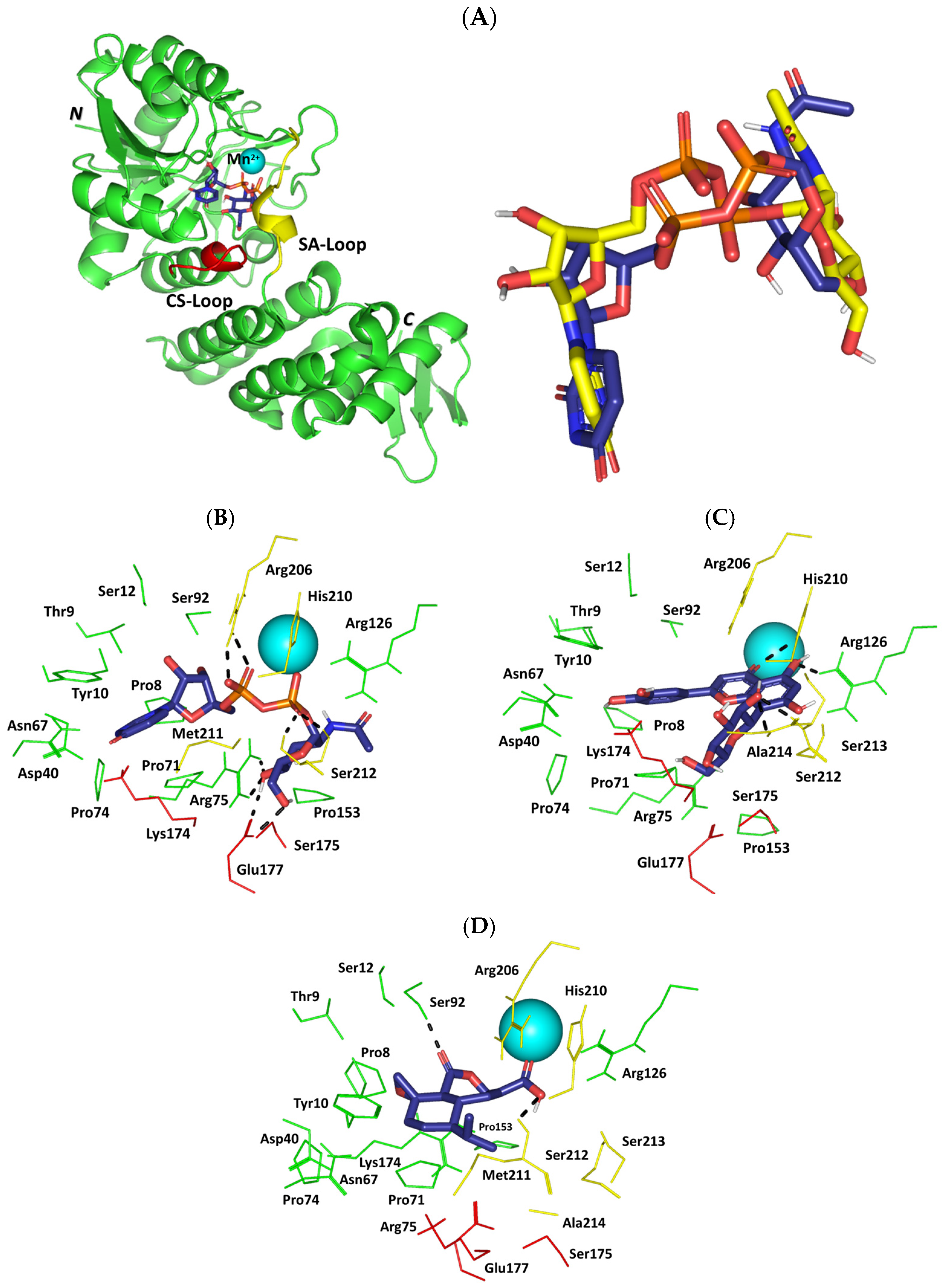 Pharmaceuticals 17 00656 g010