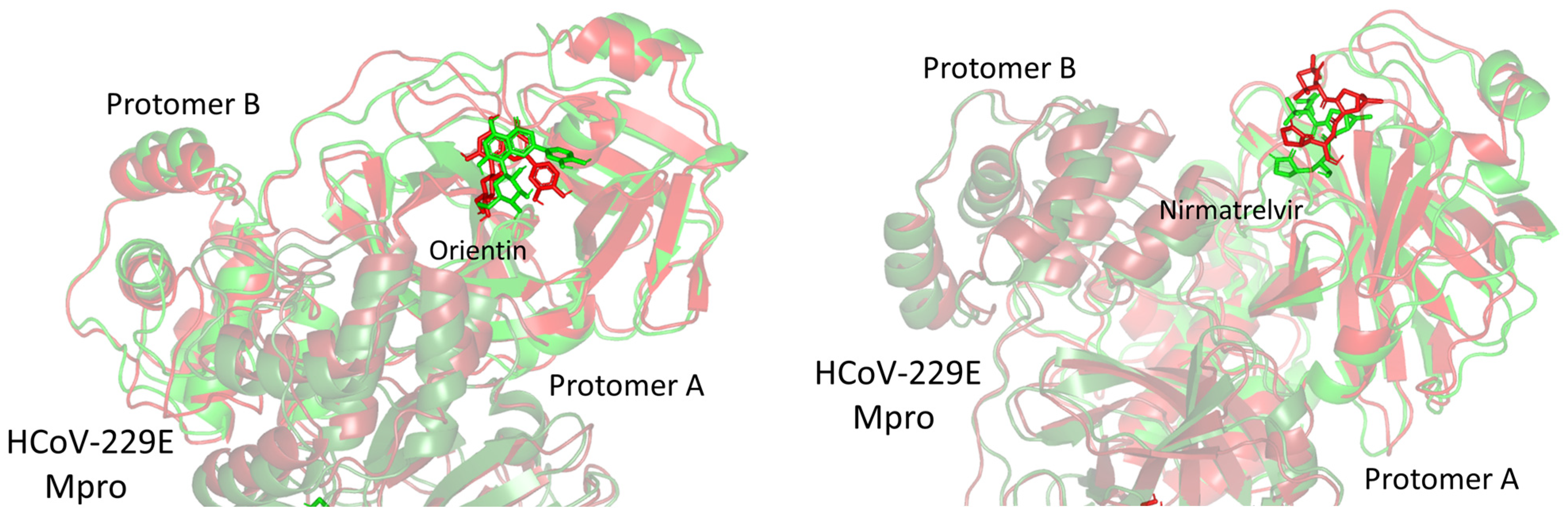Pharmaceuticals 17 00656 g013b