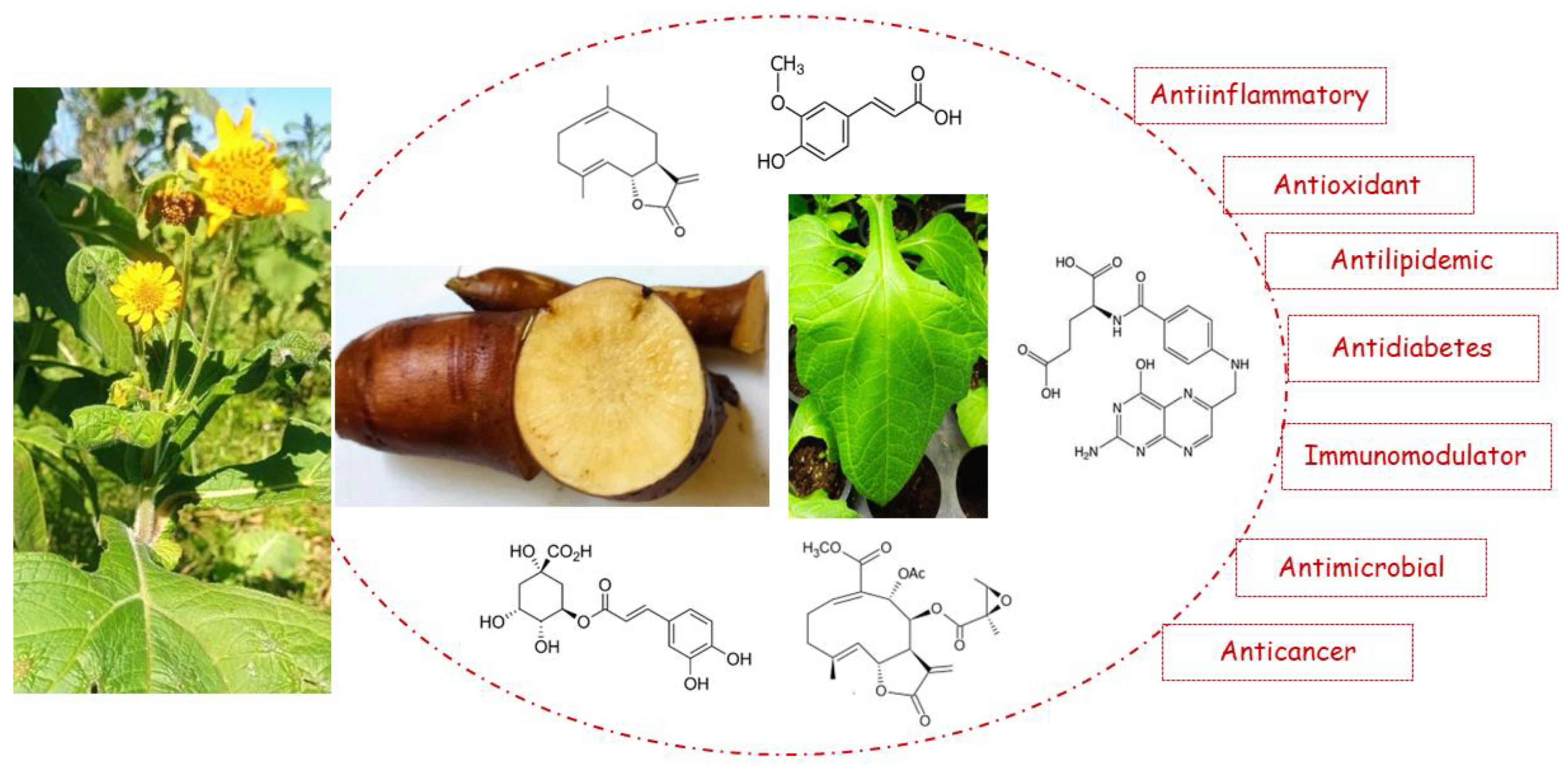 Pharmaceuticals 17 00658 g006