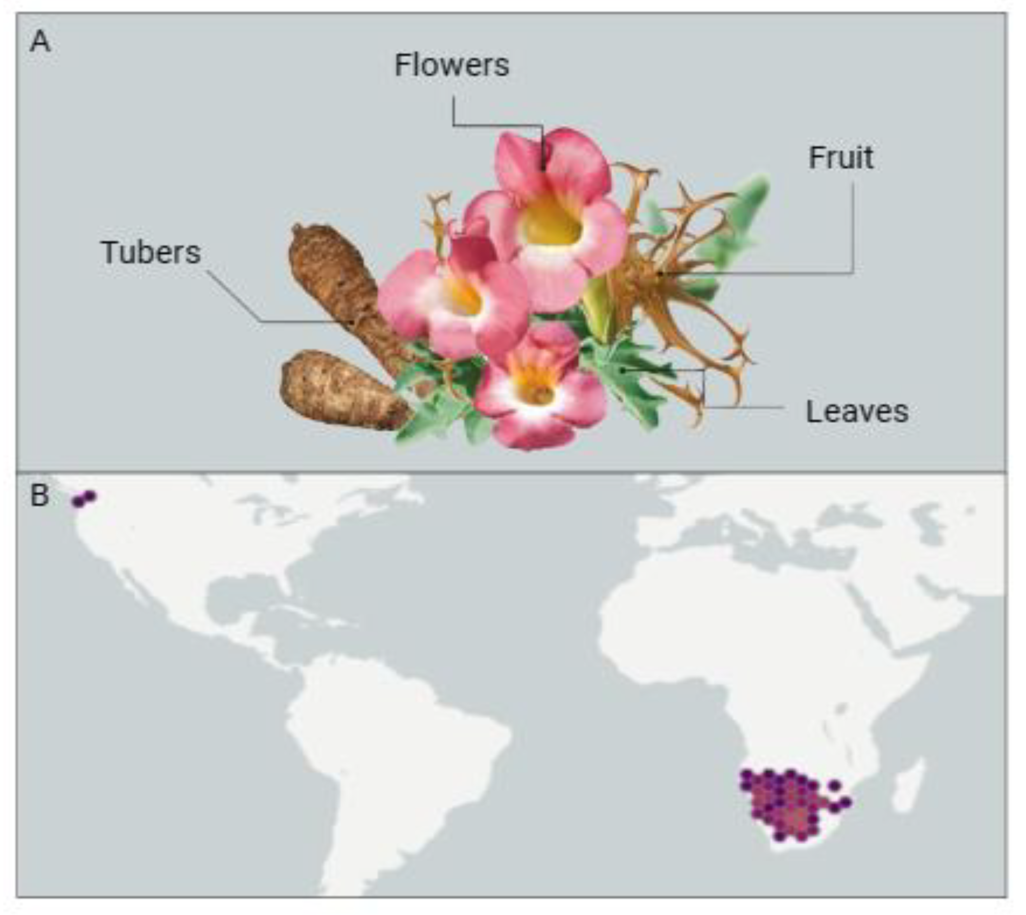 Pharmaceuticals 17 00660 g001