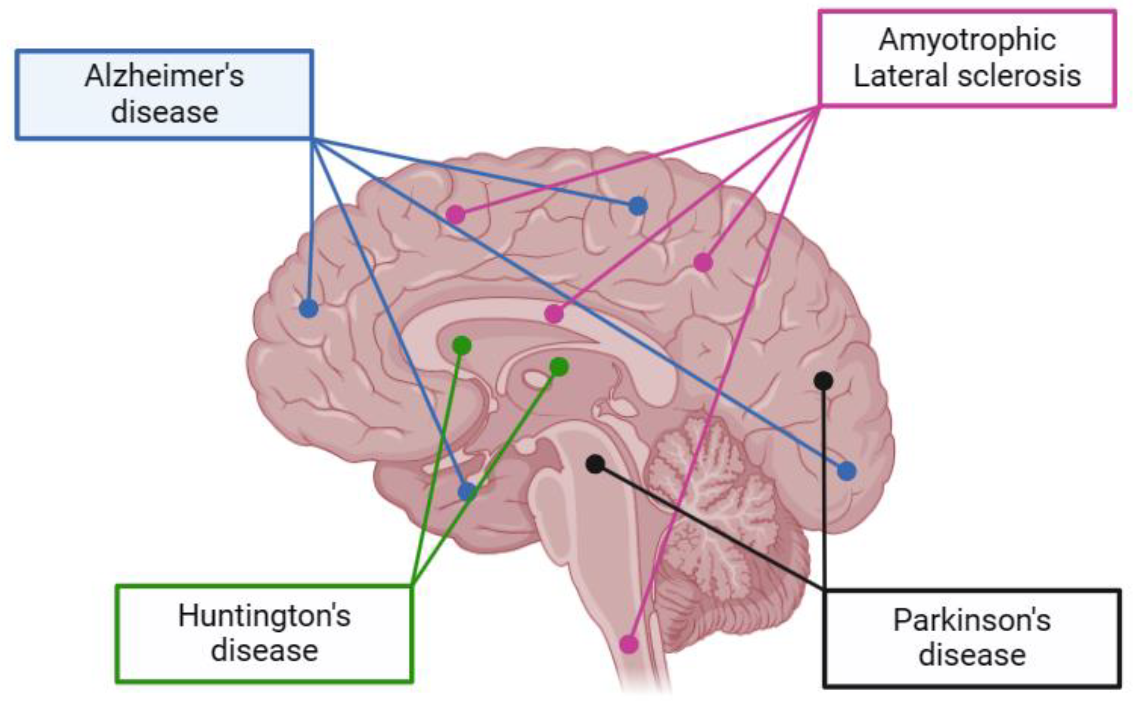 Pharmaceuticals 17 00660 g003