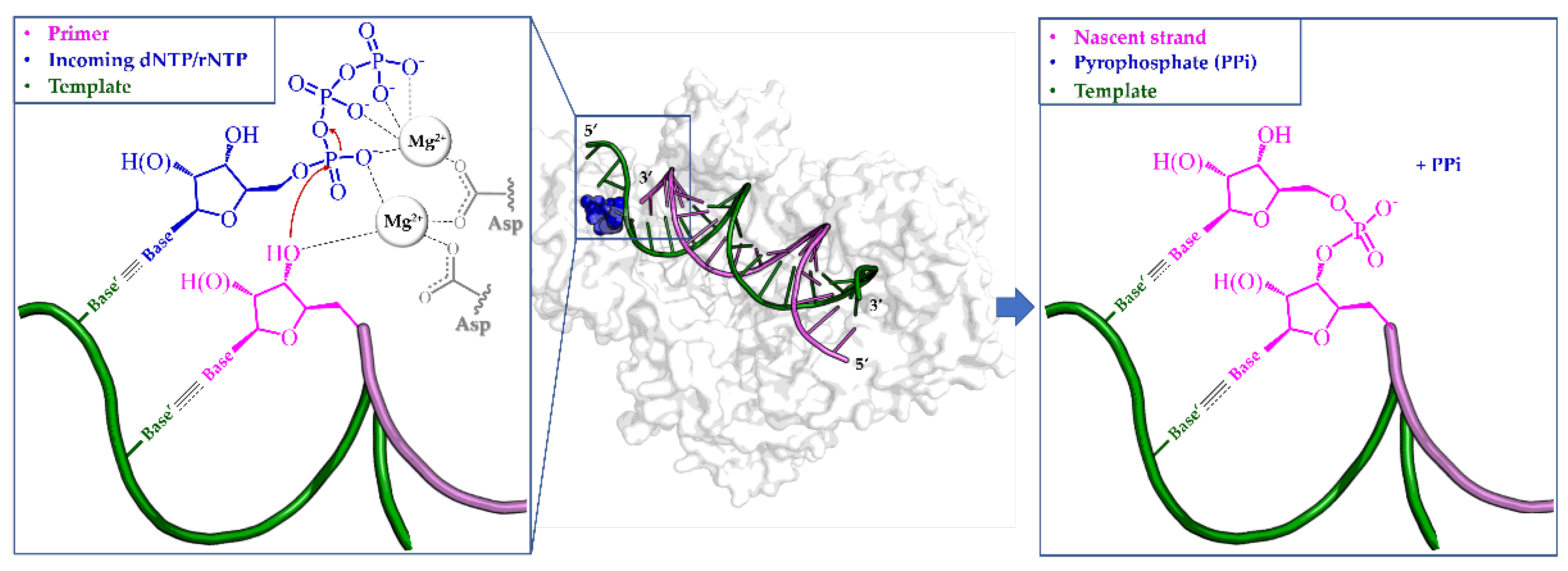 Pharmaceuticals 17 00661 g001 Pharmaceuticals 17 00661 g001