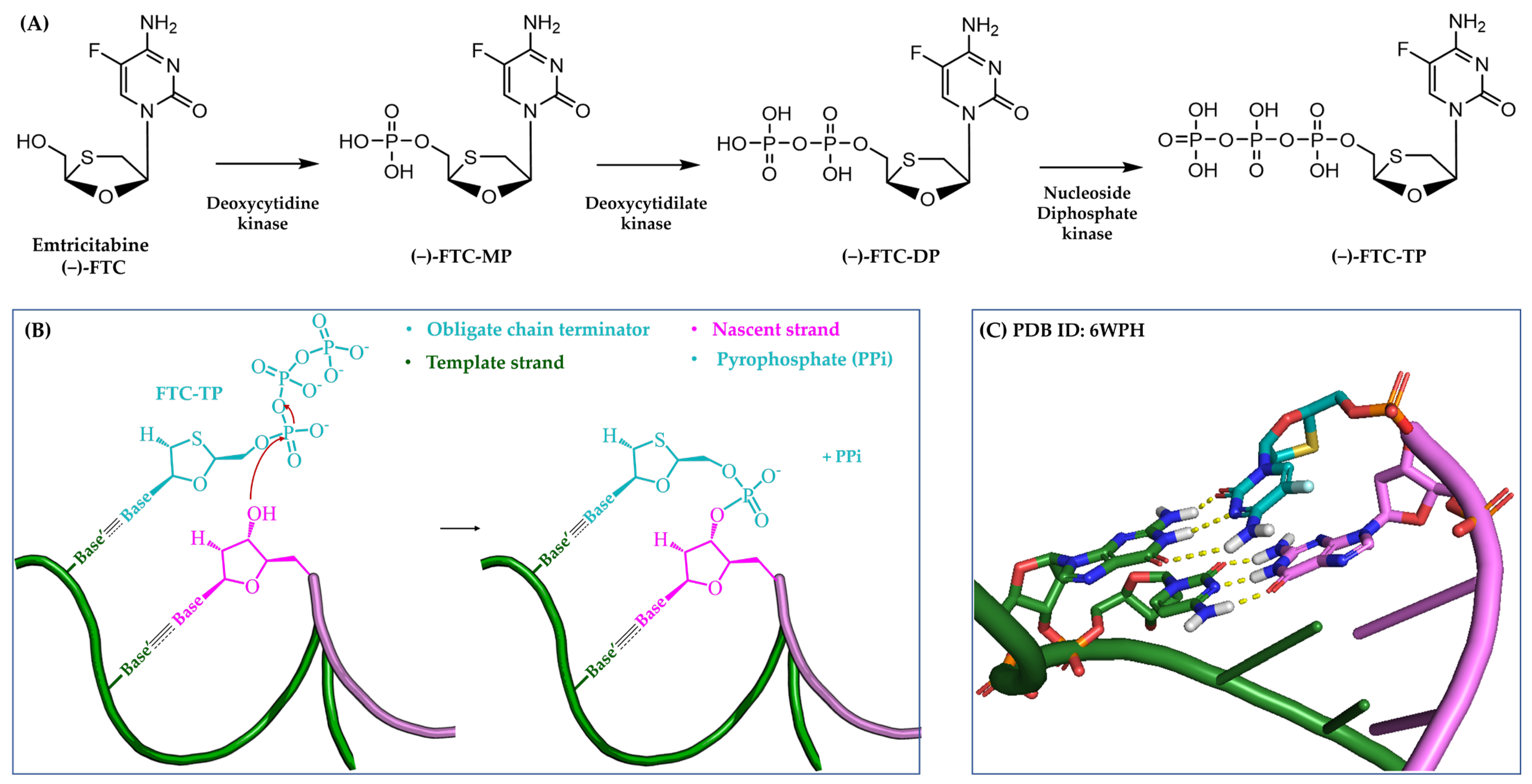 Pharmaceuticals 17 00661 g002 Pharmaceuticals 17 00661 g002