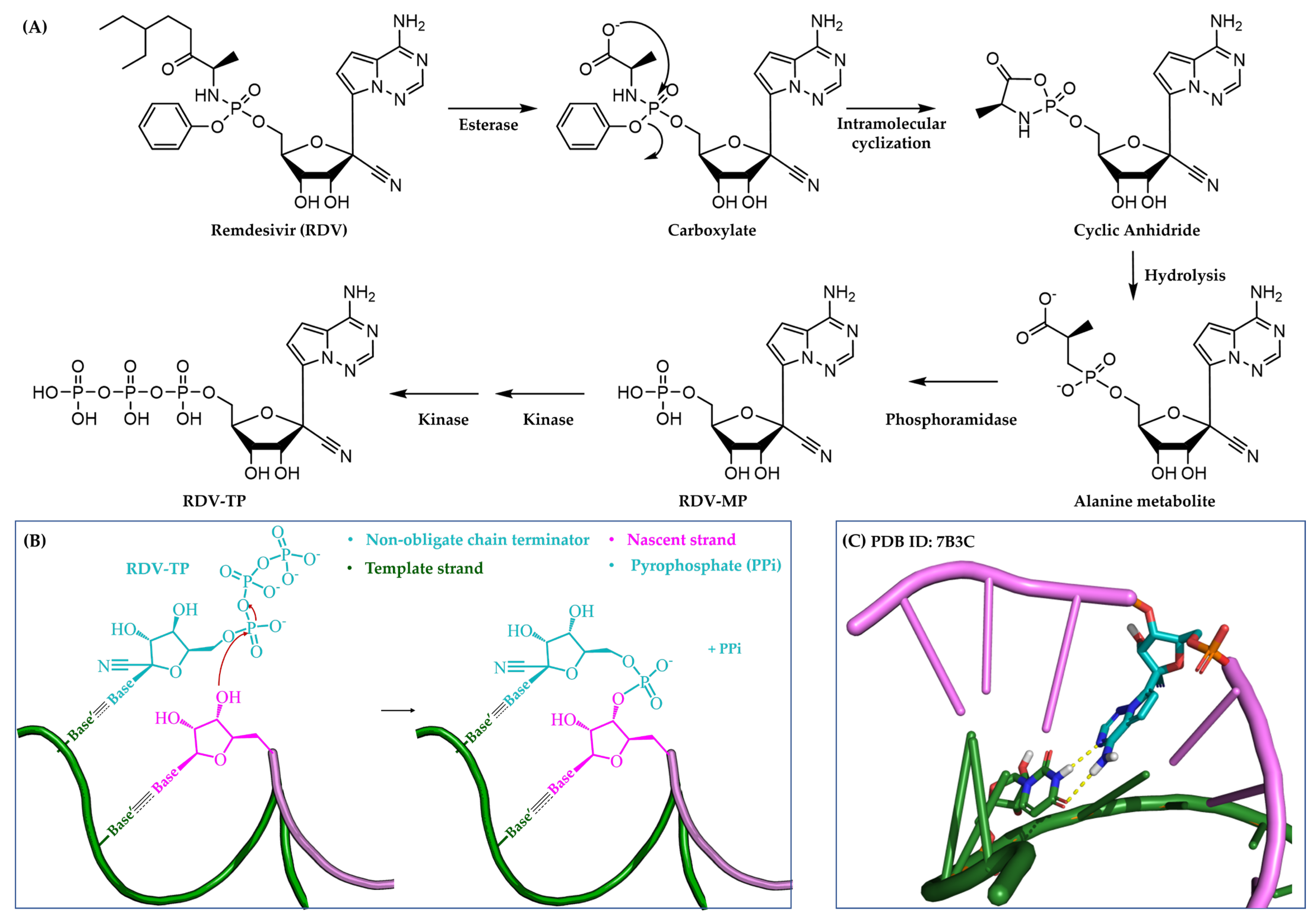 Pharmaceuticals 17 00661 g003 Pharmaceuticals 17 00661 g003