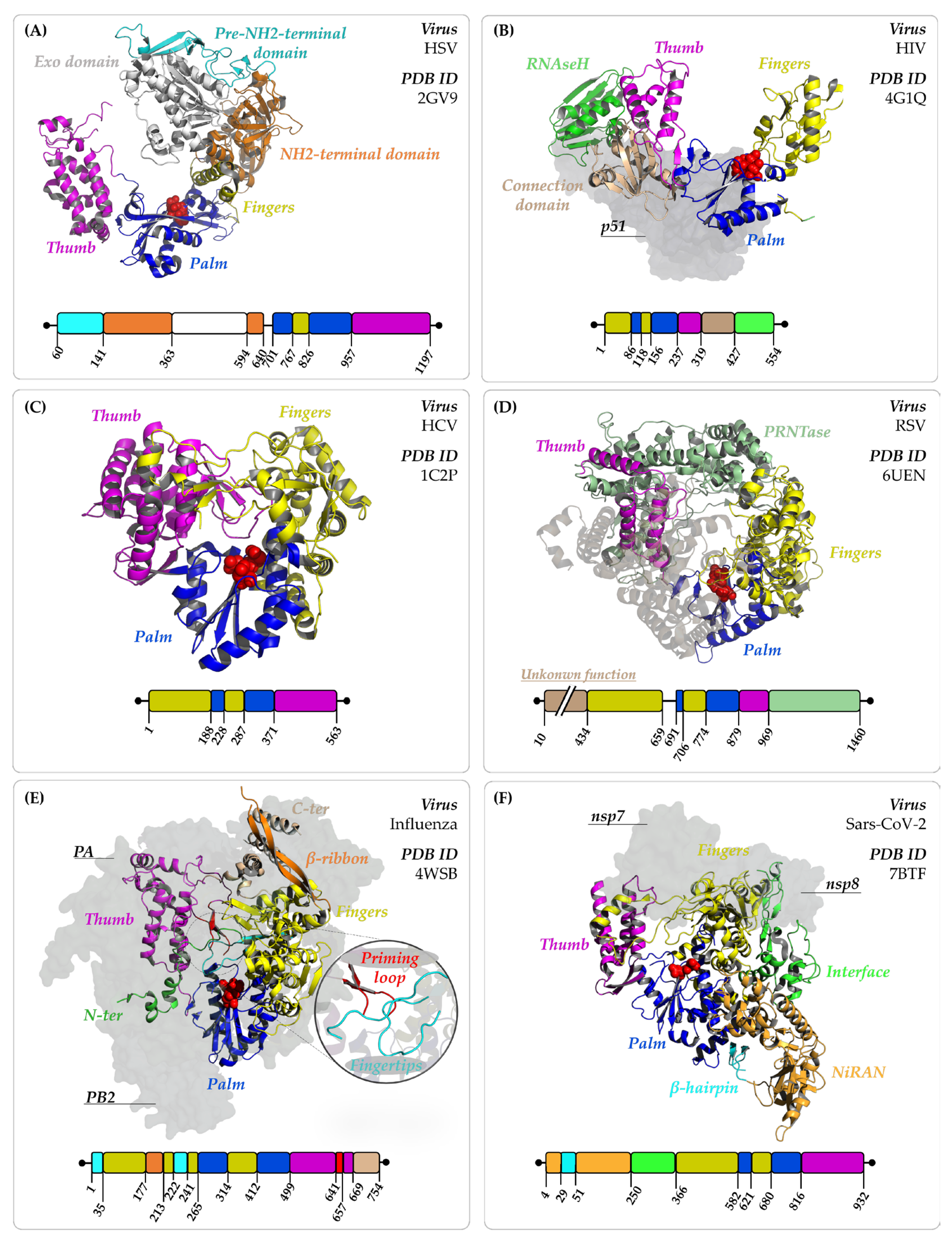 Pharmaceuticals 17 00661 g004 Pharmaceuticals 17 00661 g004