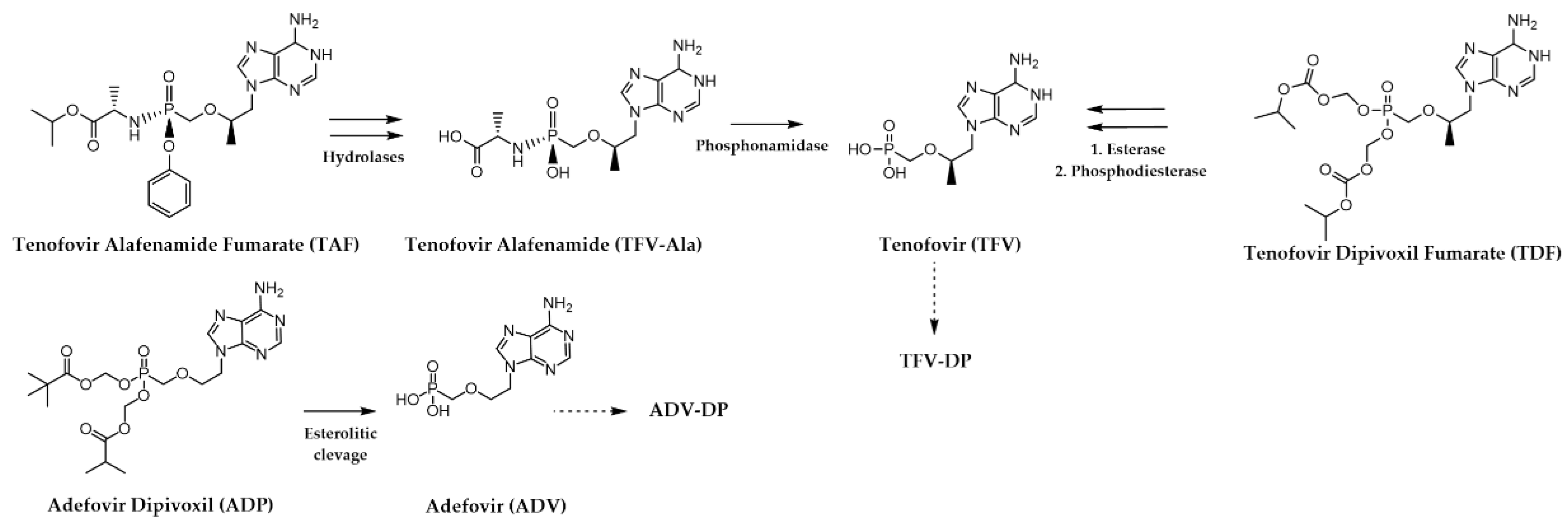Pharmaceuticals 17 00661 g008 Pharmaceuticals 17 00661 g008