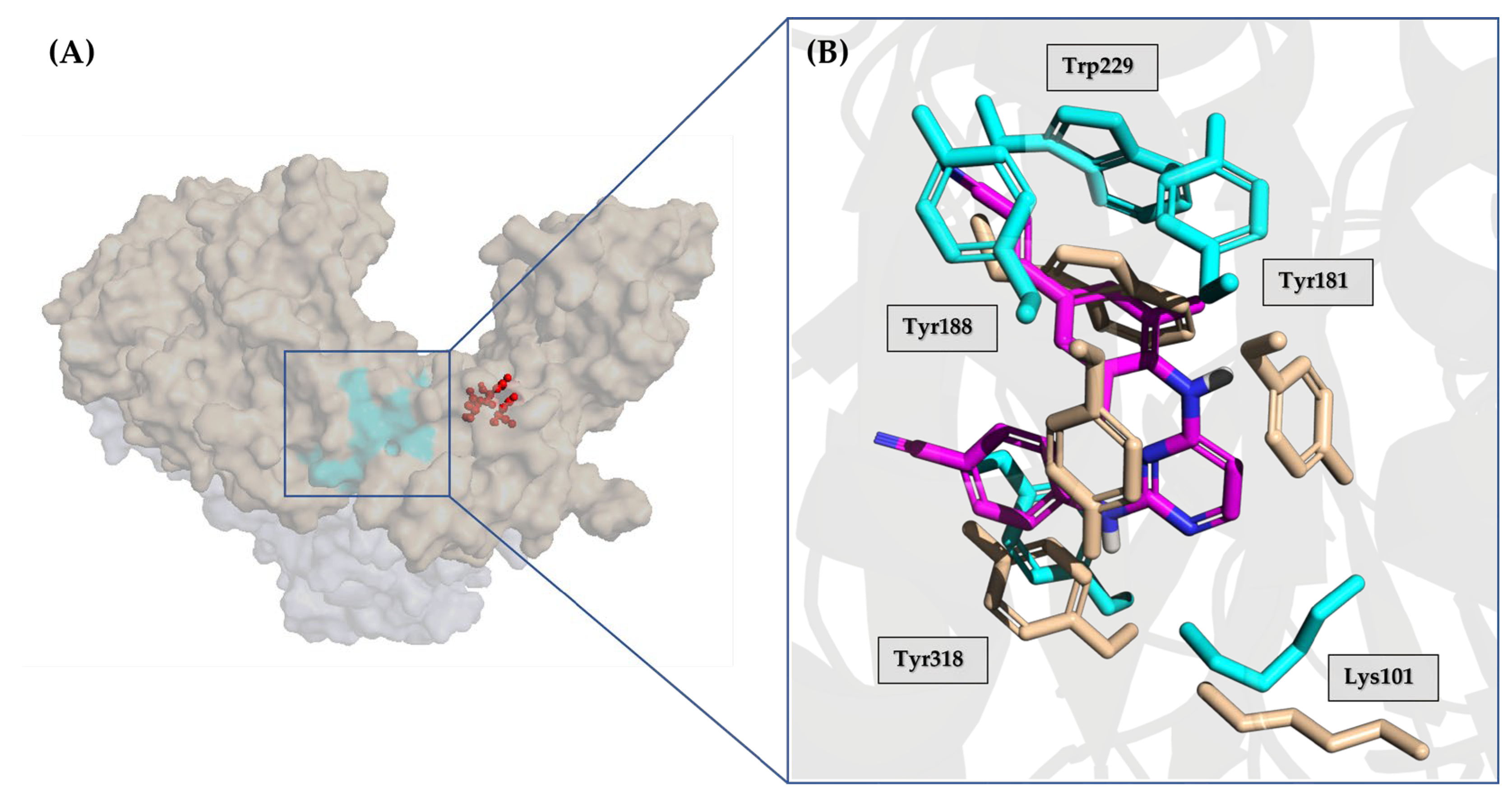 Pharmaceuticals 17 00661 g012 Pharmaceuticals 17 00661 g012