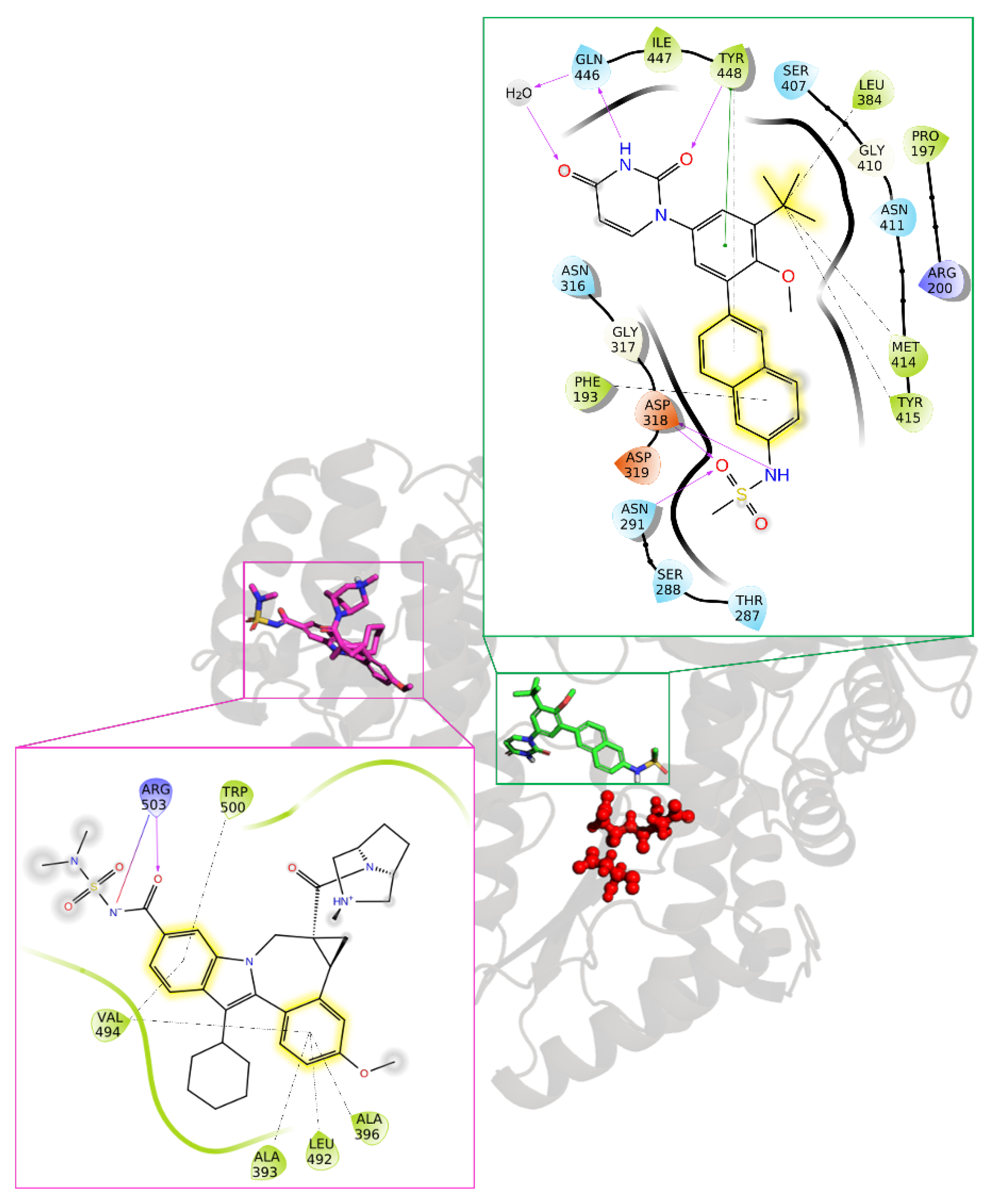 Pharmaceuticals 17 00661 g016 Pharmaceuticals 17 00661 g016