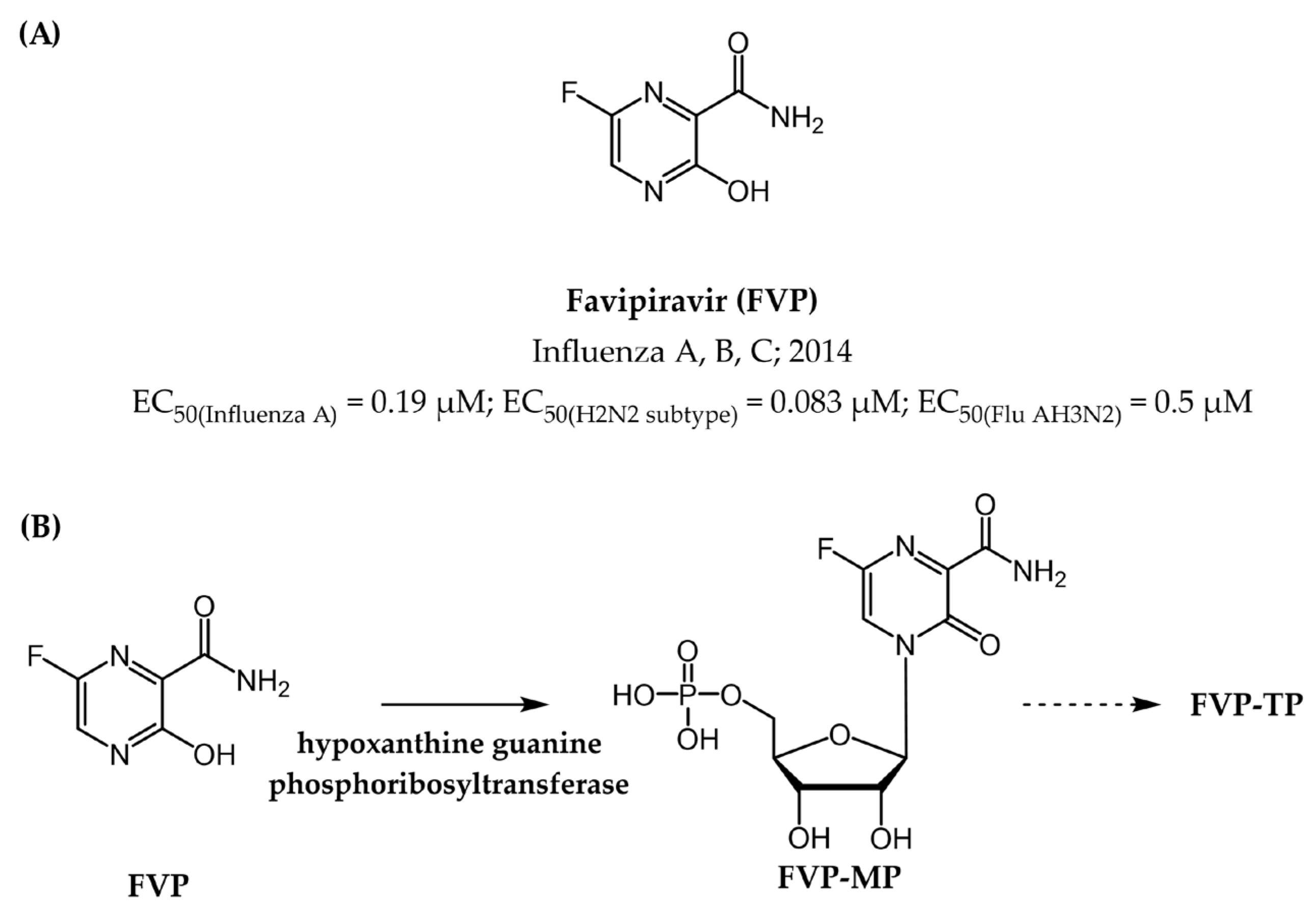 Pharmaceuticals 17 00661 g017 Pharmaceuticals 17 00661 g017