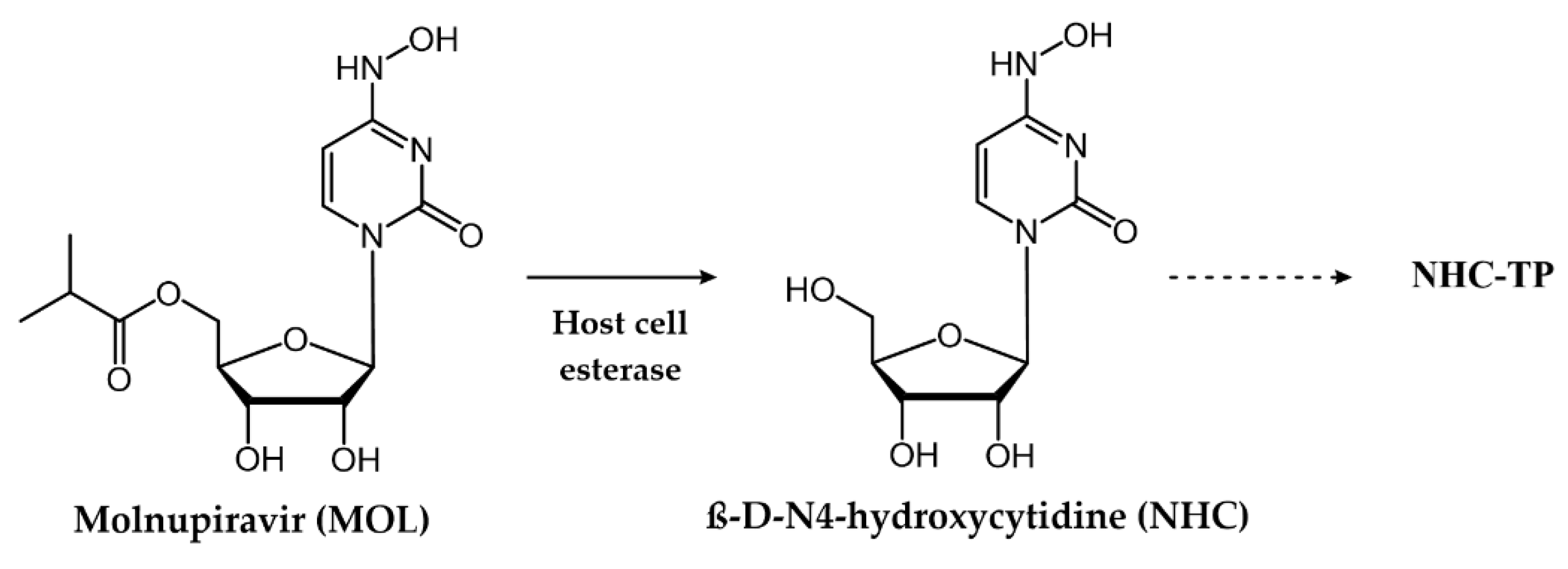 Pharmaceuticals 17 00661 g019 Pharmaceuticals 17 00661 g019