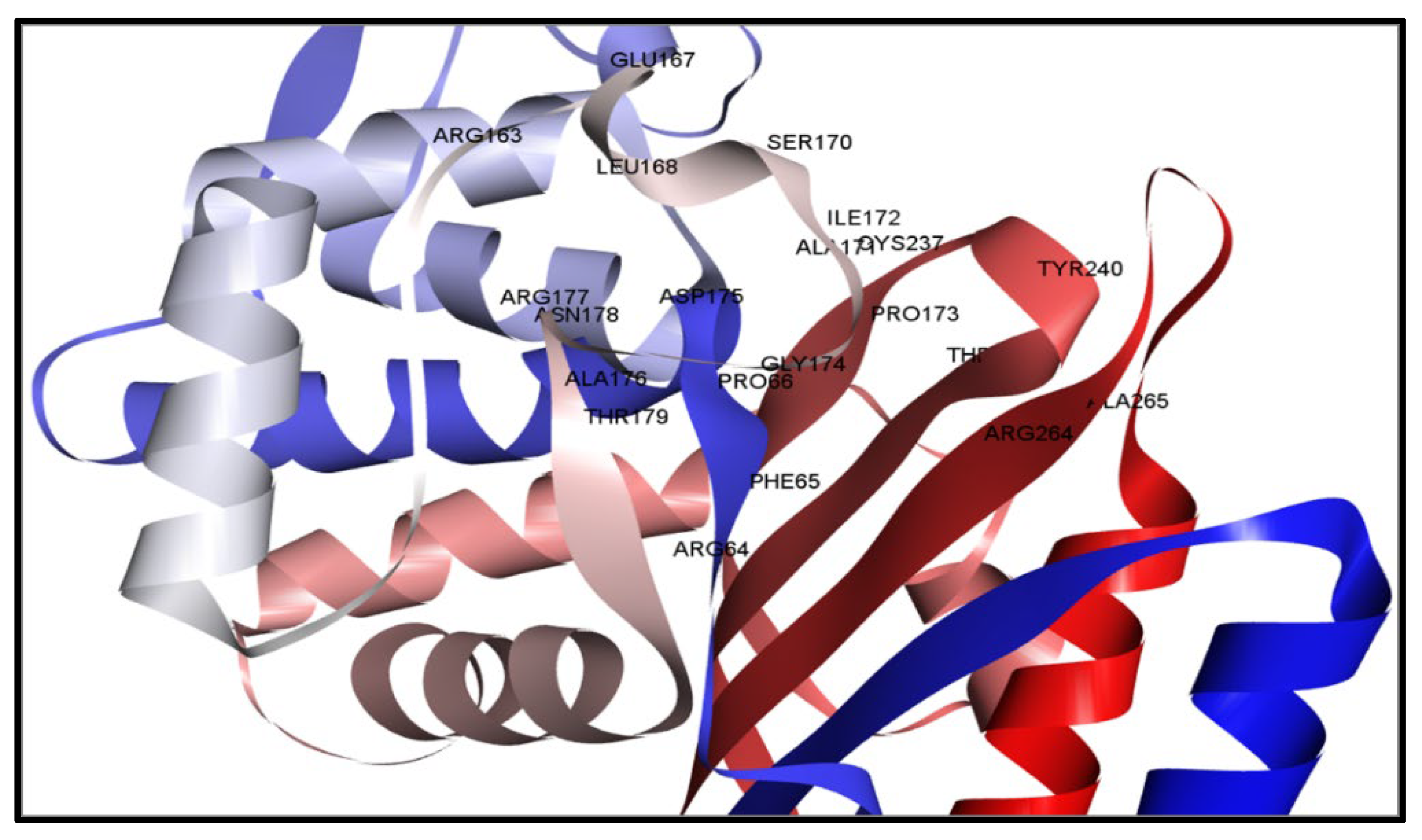 Pharmaceuticals 17 00667 g002