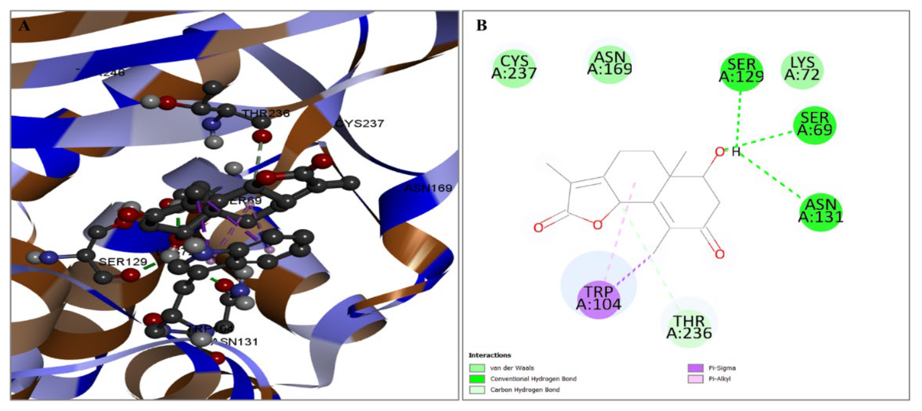 Pharmaceuticals 17 00667 g004