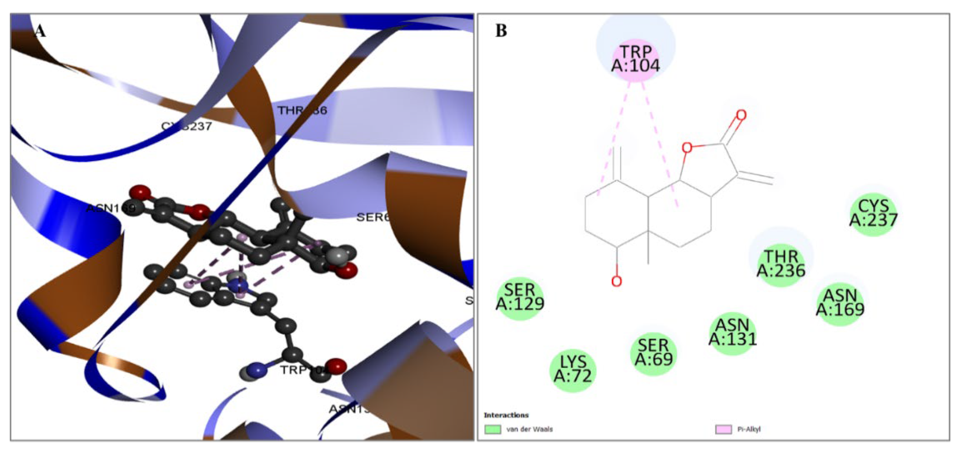 Pharmaceuticals 17 00667 g006