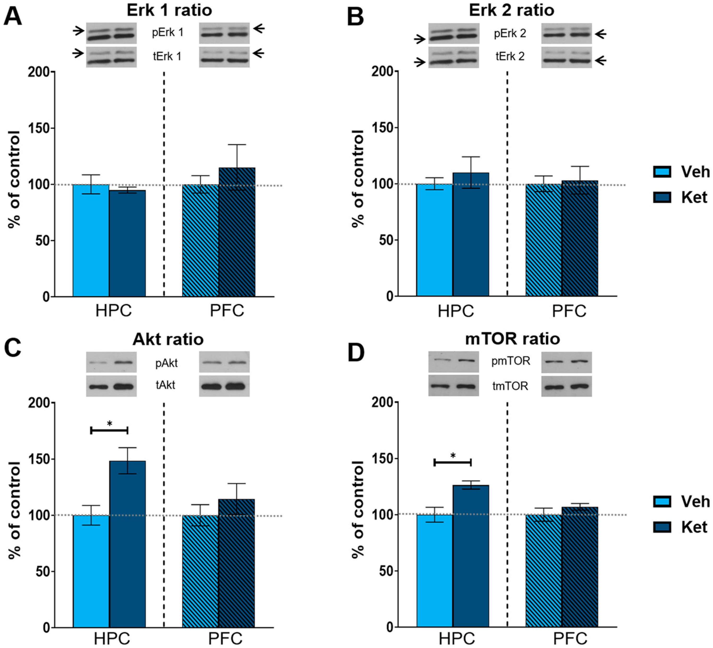 Pharmaceuticals 17 00669 g004
