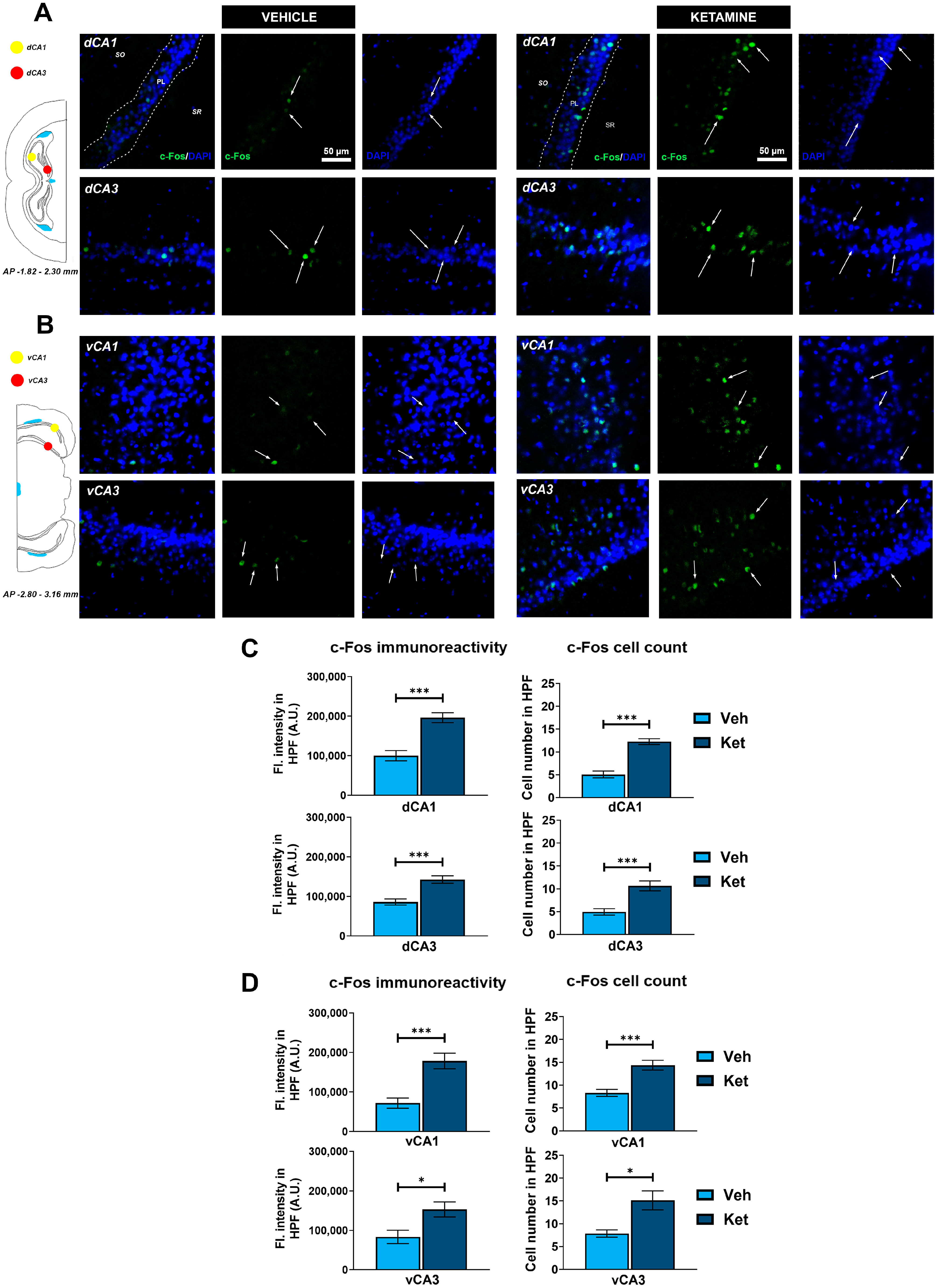 Pharmaceuticals 17 00669 g006