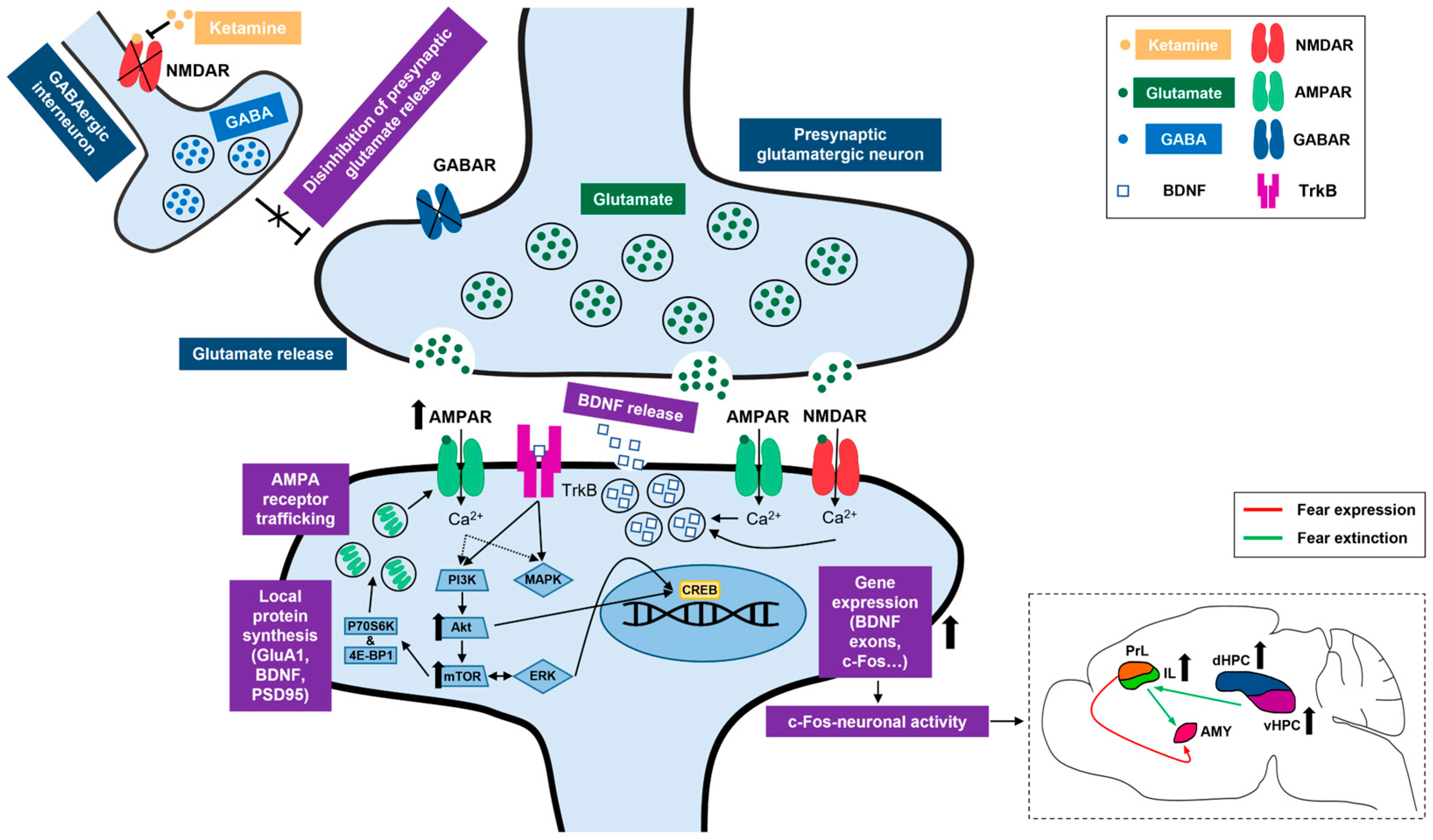 Pharmaceuticals 17 00669 g009
