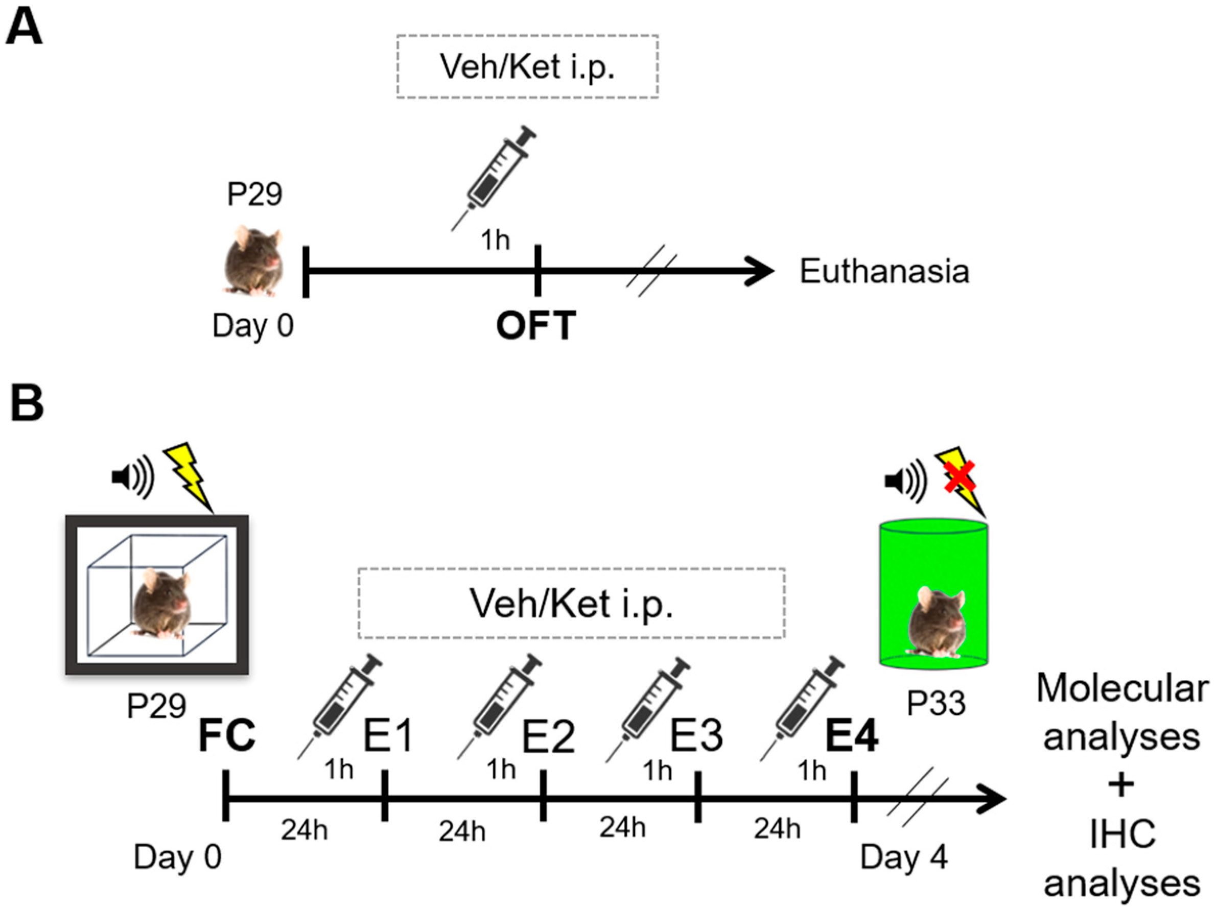 Pharmaceuticals 17 00669 g010