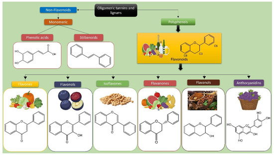 Dietary Polyphenols, Plant Metabolites, and Allergic