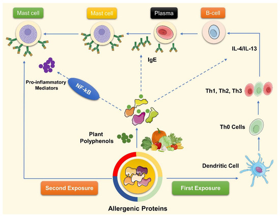 Dietary Polyphenols, Plant Metabolites, and Allergic Dietary Polyphenols, Plant Metabolites, and Allergic