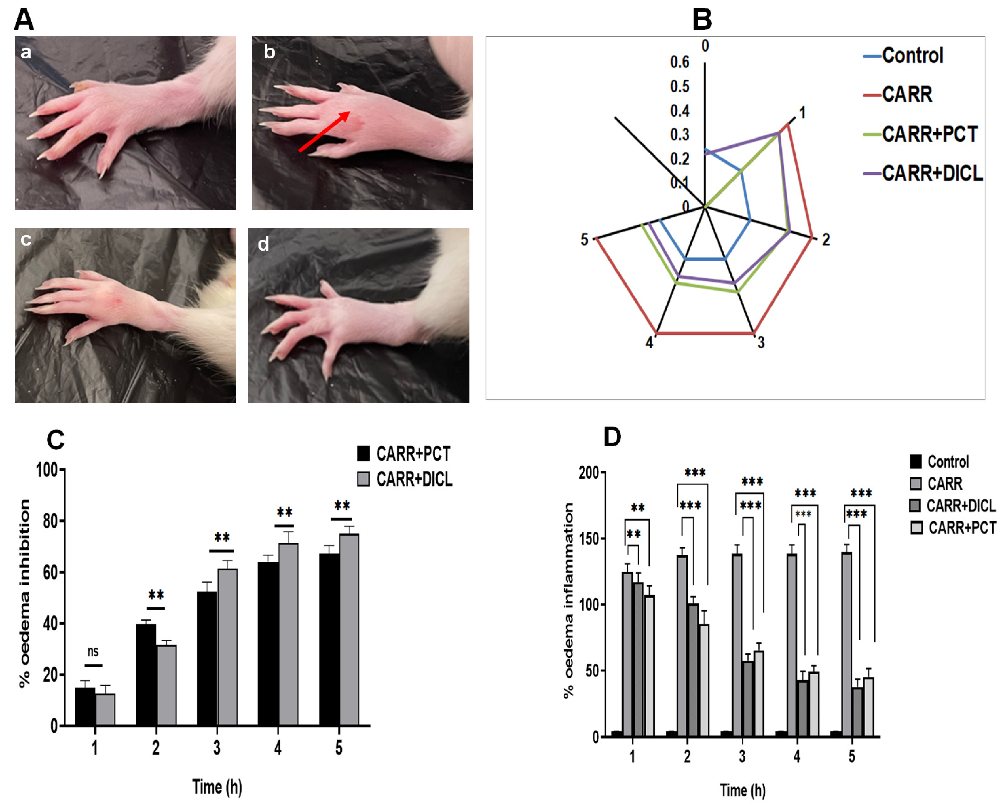 Pharmaceuticals 17 00672 g006