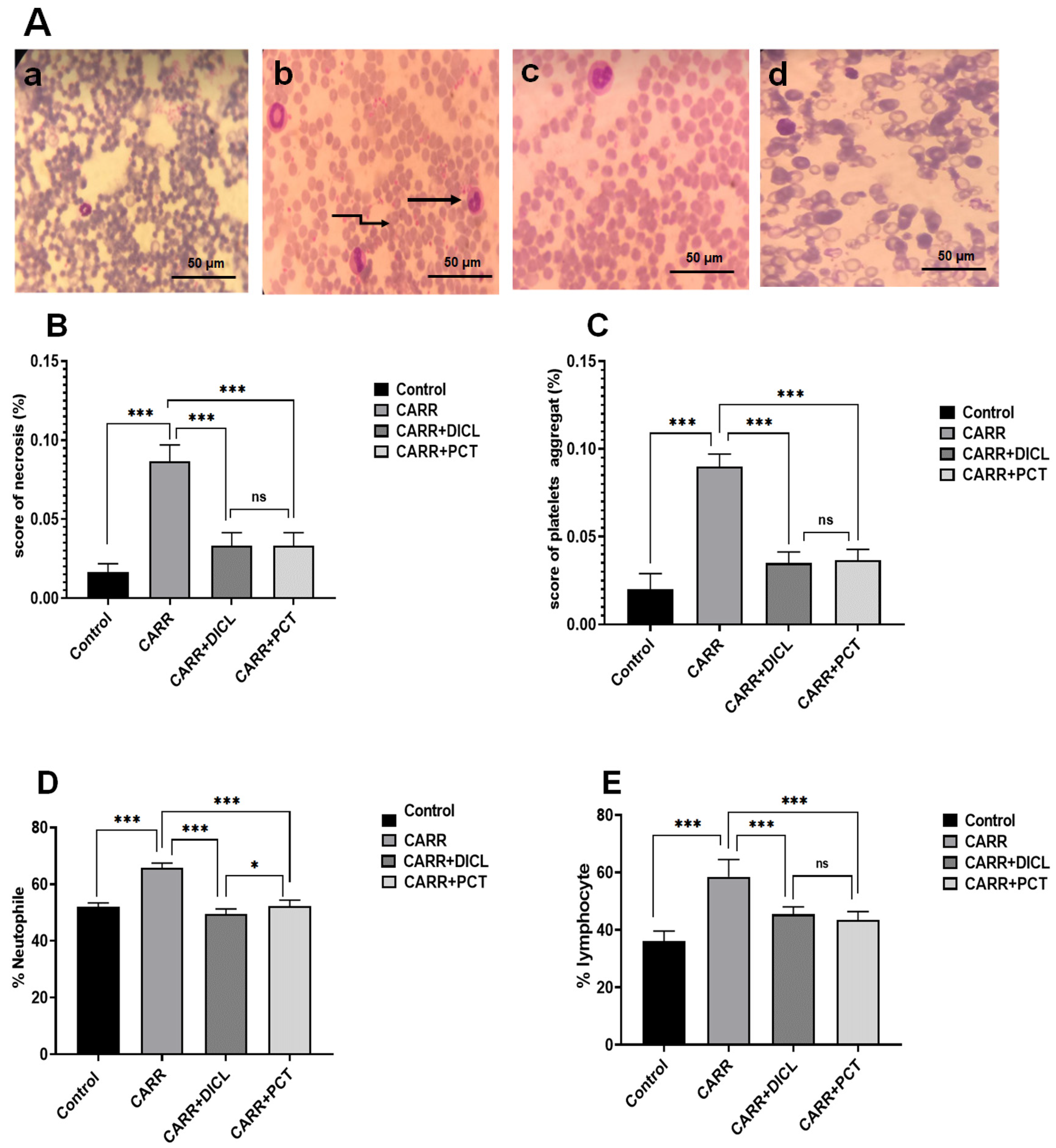 Pharmaceuticals 17 00672 g007