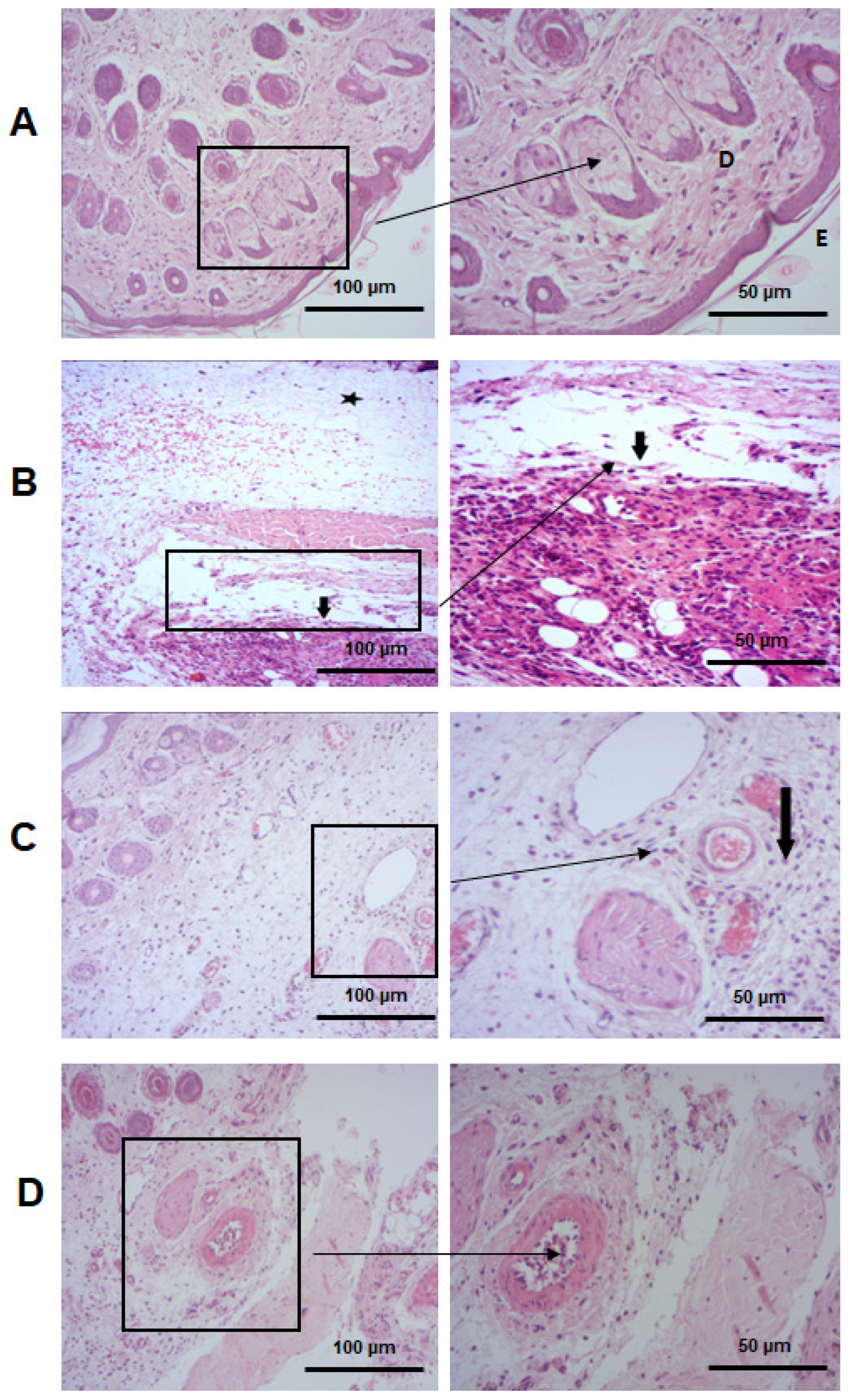 Pharmaceuticals 17 00672 g009a