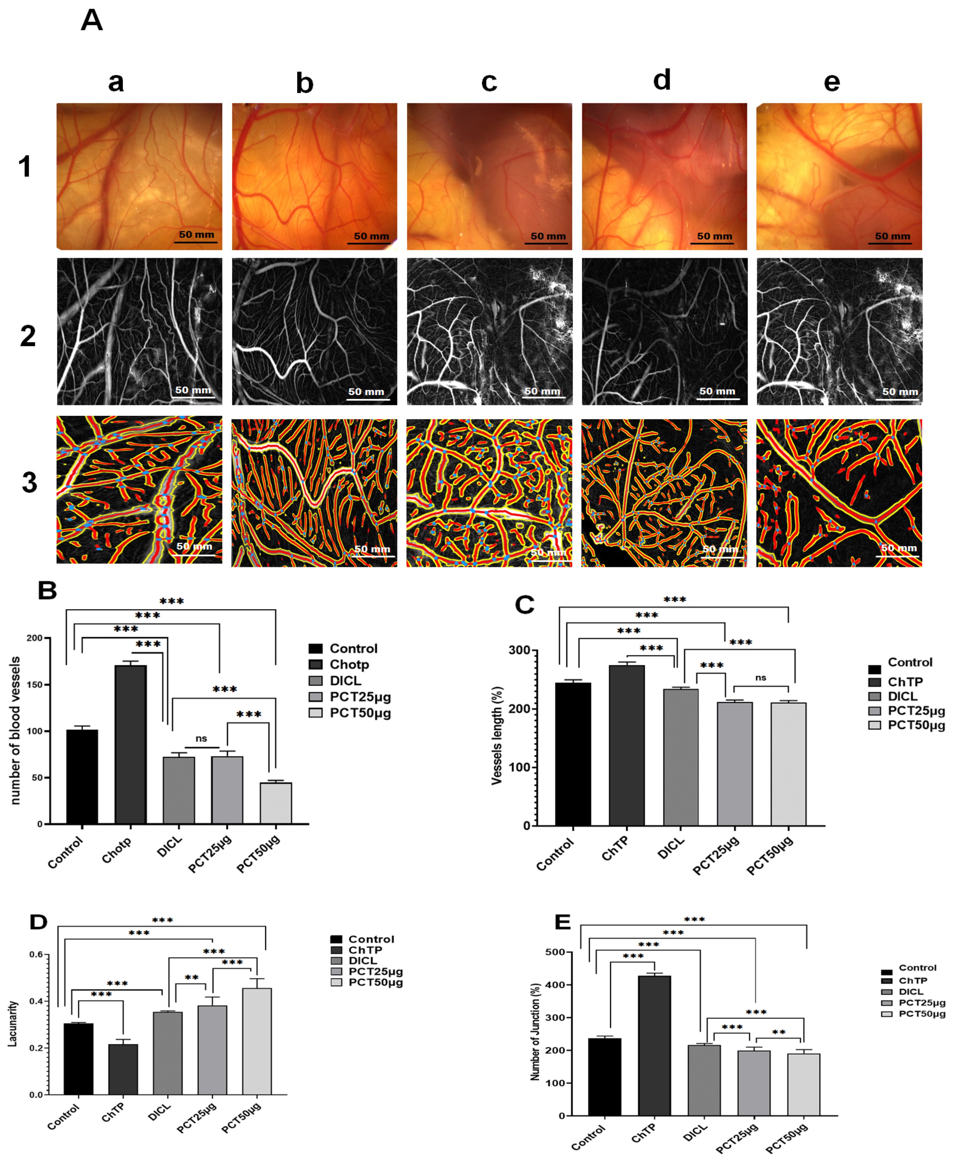 Pharmaceuticals 17 00672 g010