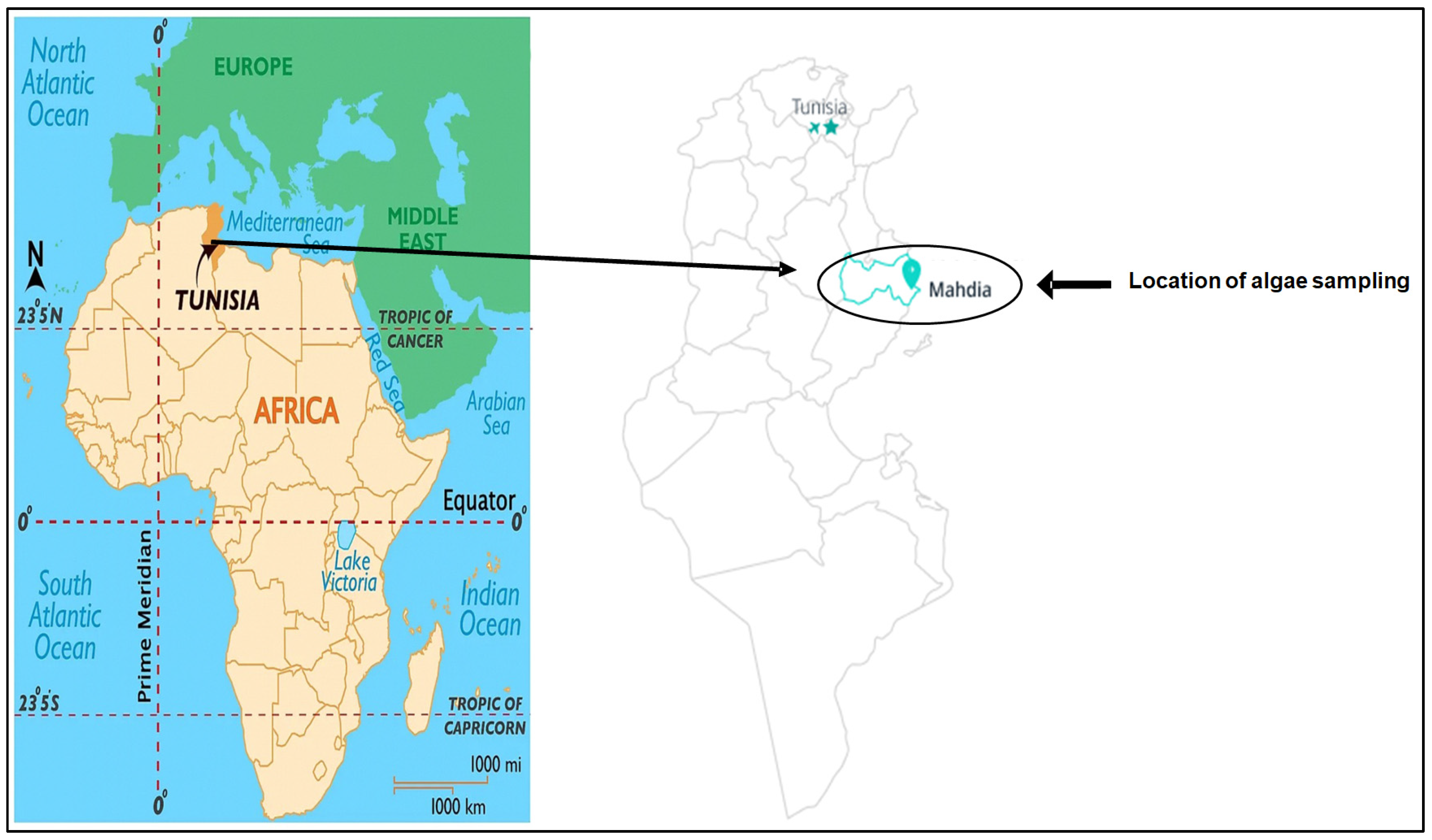 Pharmaceuticals 17 00672 g011