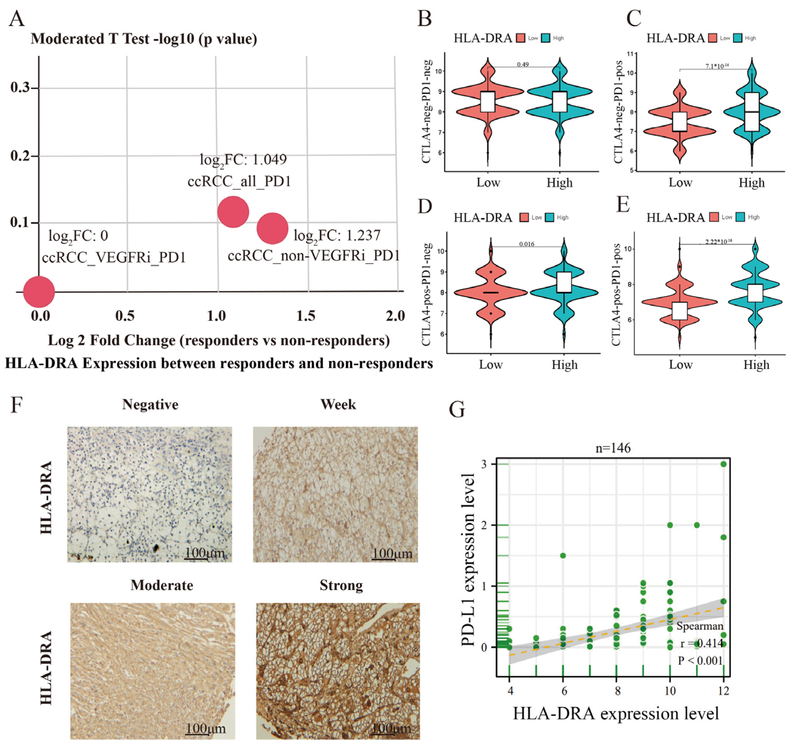 Pharmaceuticals 17 00678 g003