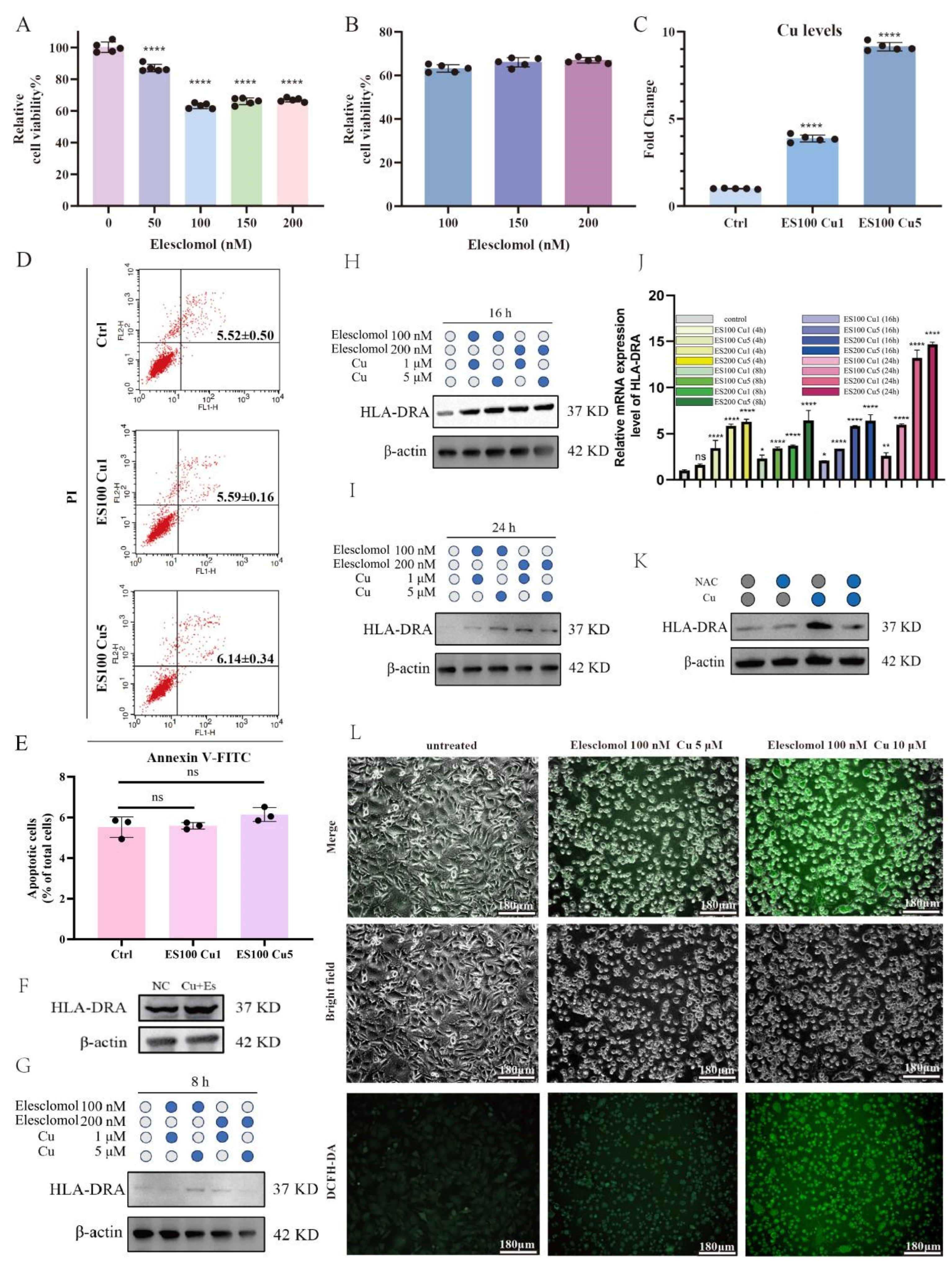 Pharmaceuticals 17 00678 g005