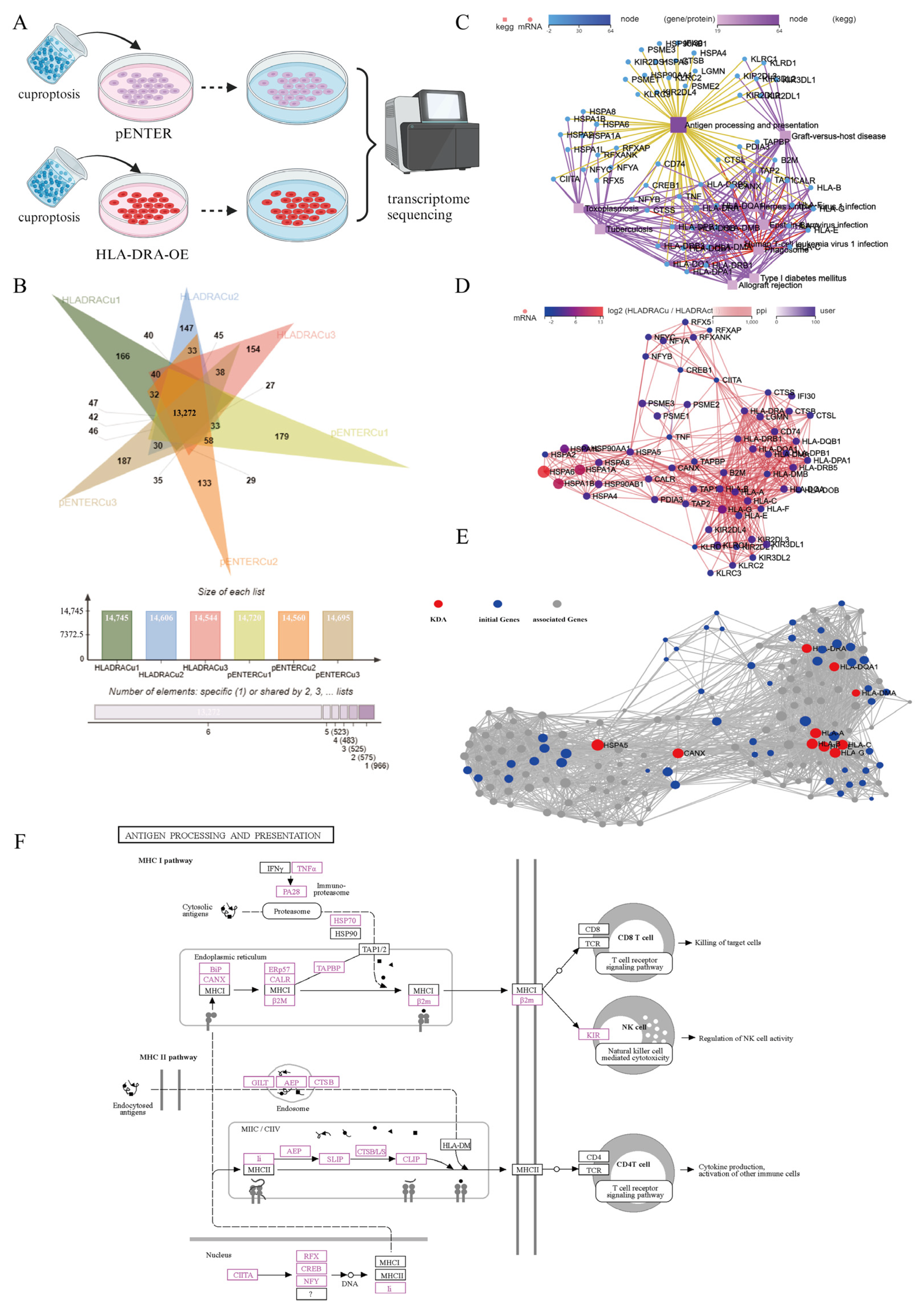 Pharmaceuticals 17 00678 g008