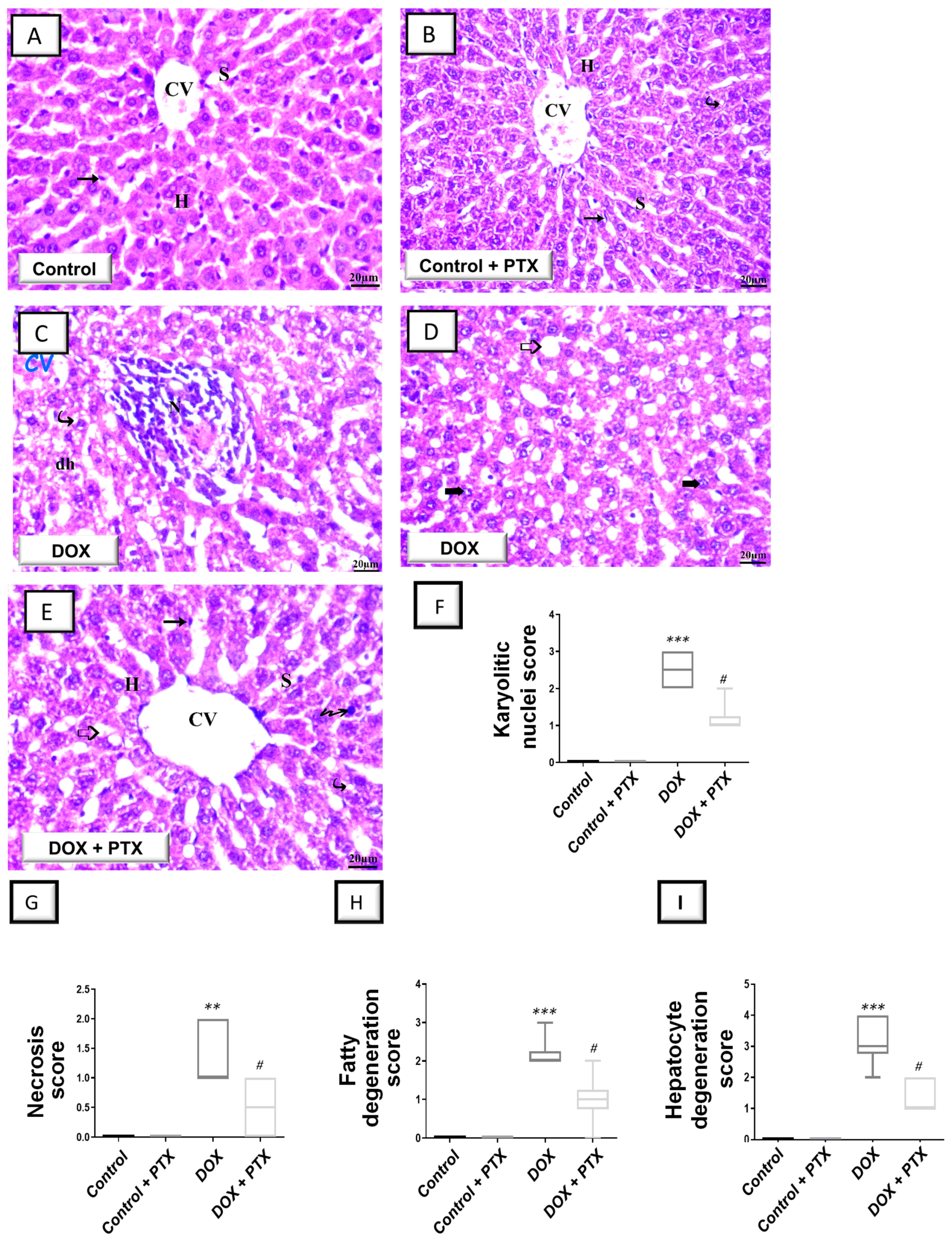 Pharmaceuticals 17 00681 g002