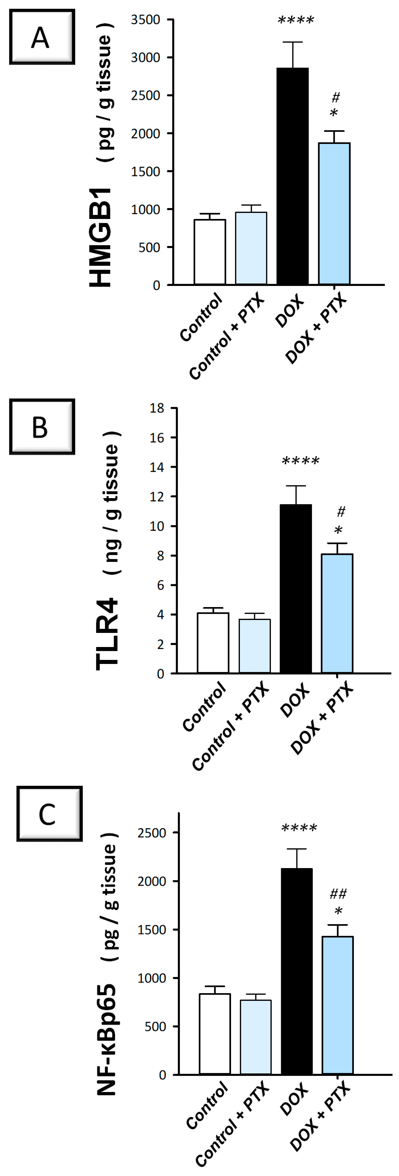Pharmaceuticals 17 00681 g005